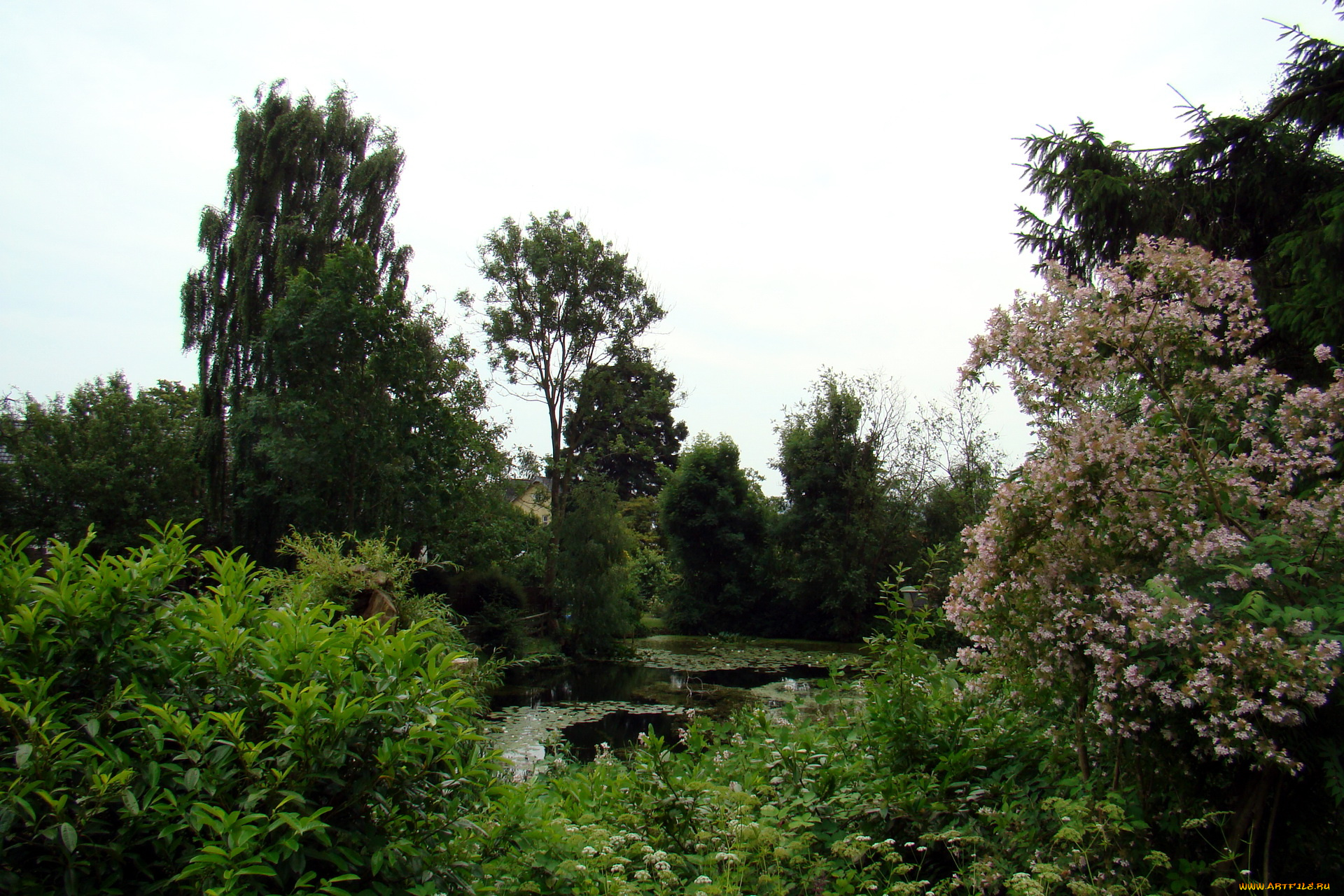 дания, обенро, природа, реки, озера, река