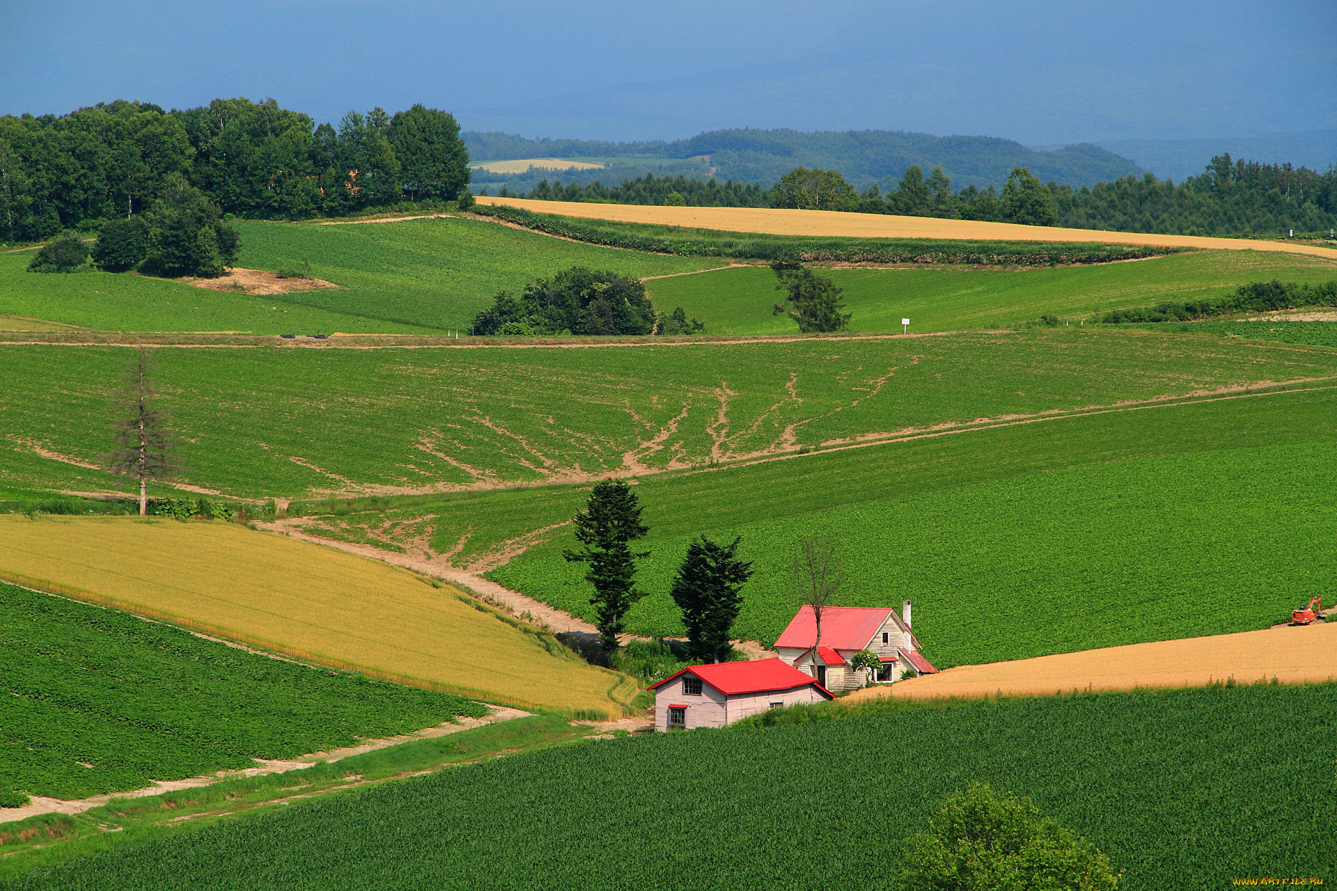 природа, поля