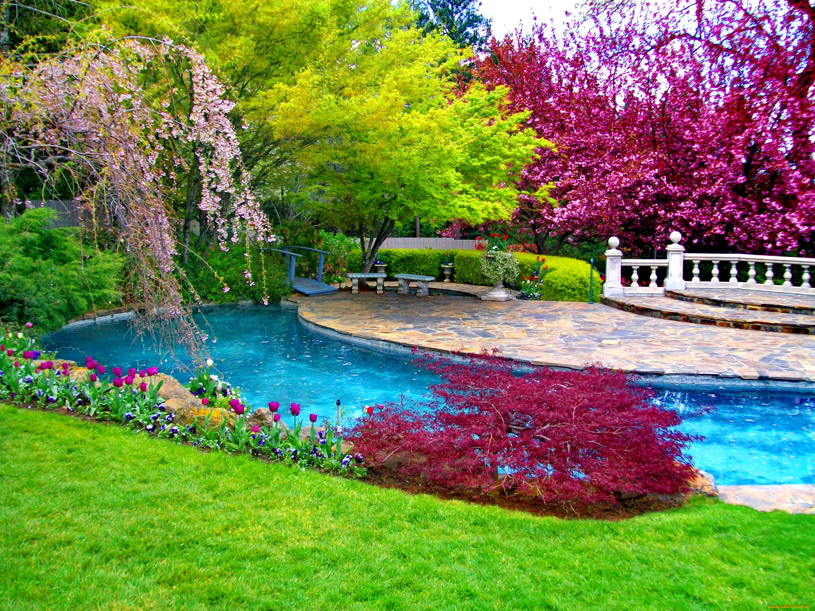 place, to, relax, природа, парк, краски, прудик, перила, деревья