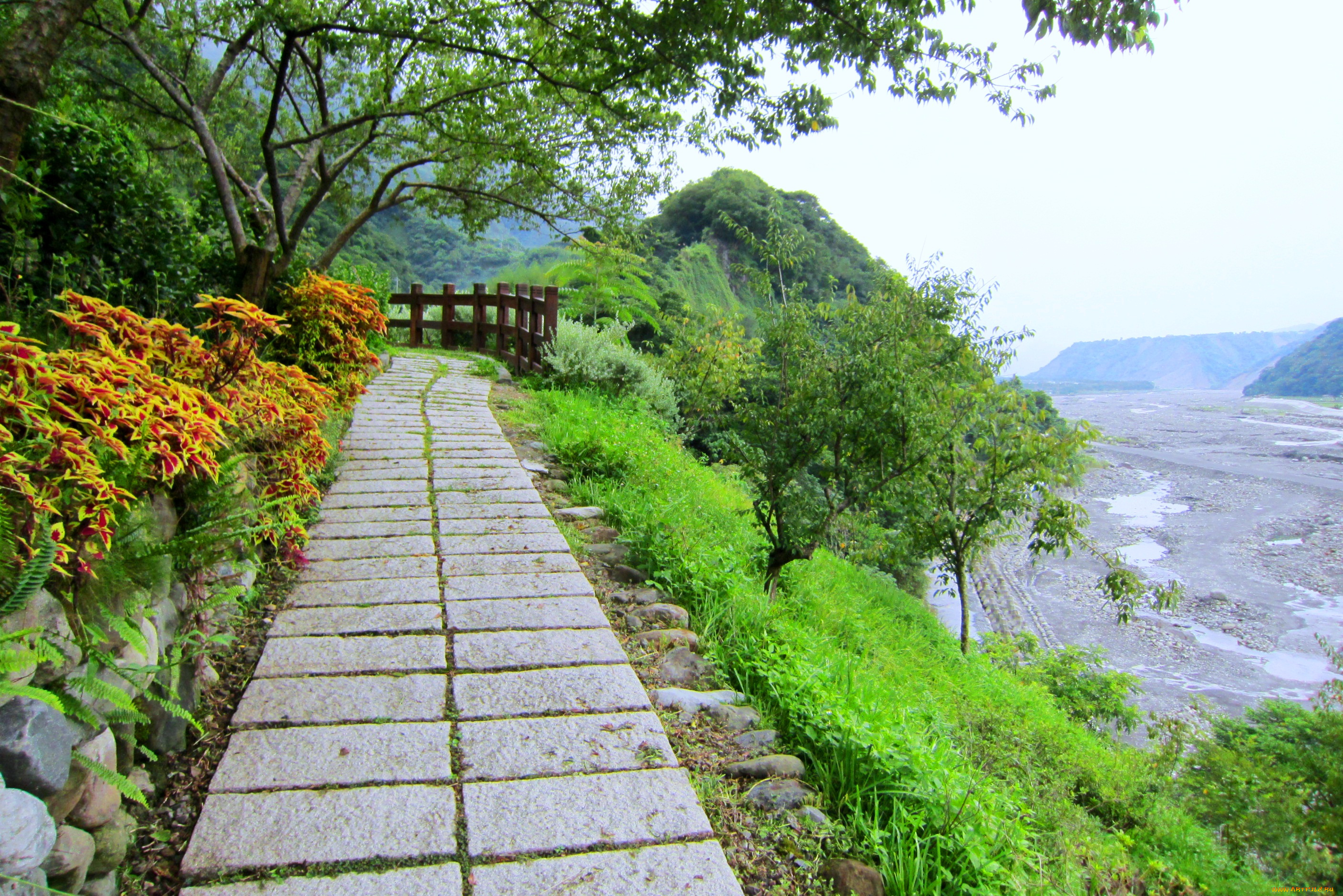 beautiful, footpath, природа, дороги, дорожка, склон, деревья, горы