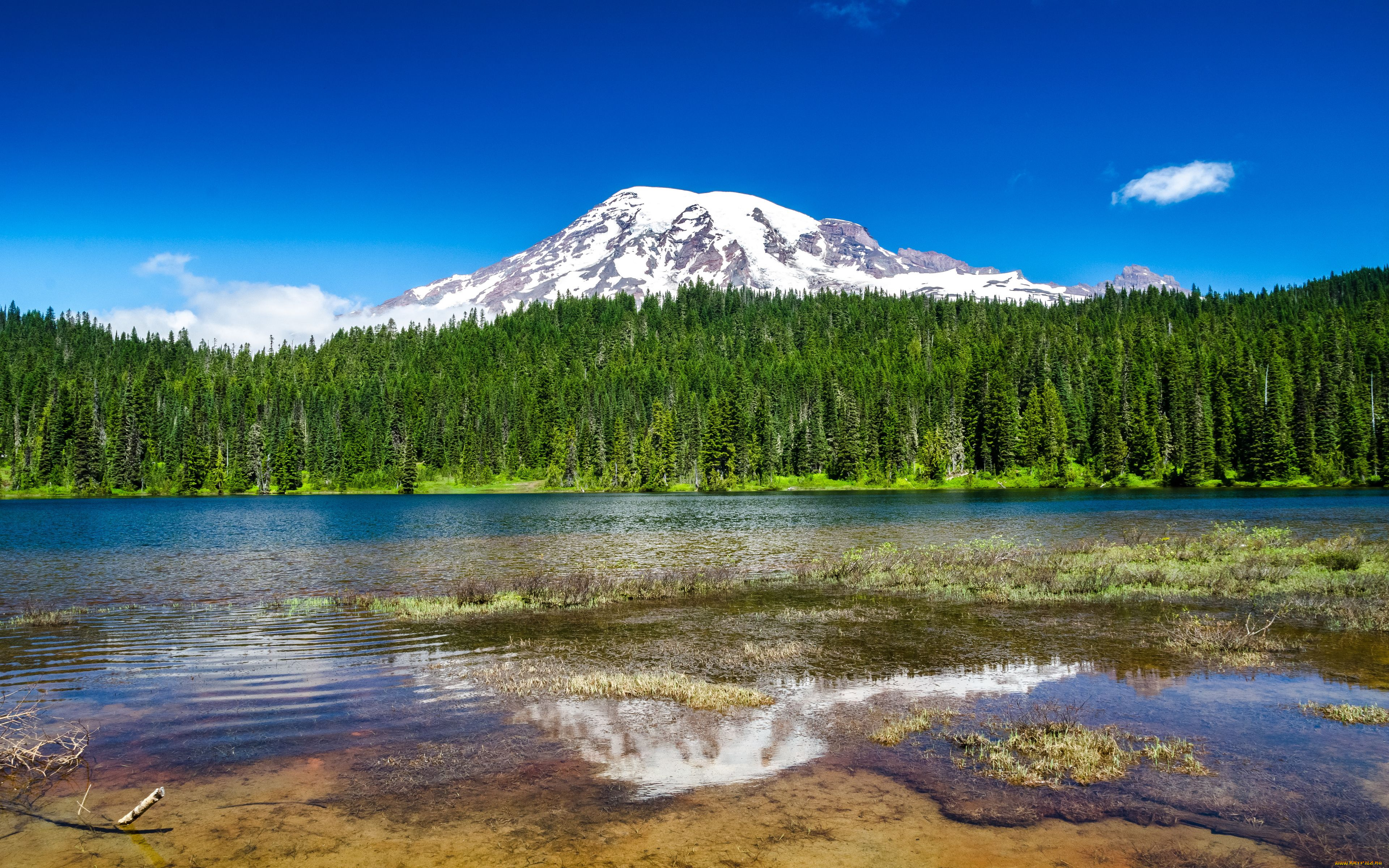 mount, rainier, national, park, природа, реки, озера, озеро, гора, лес