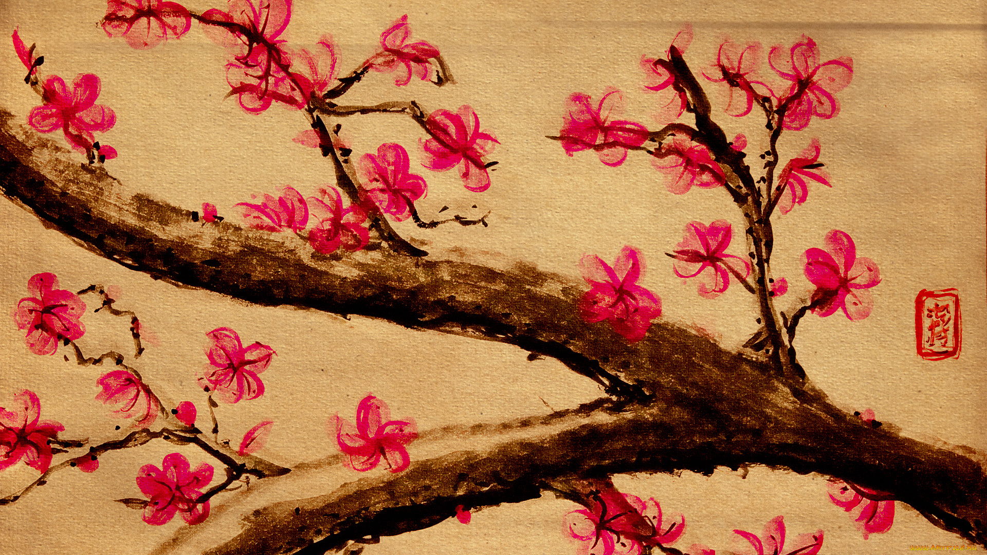 рисованные, цветы, сакура