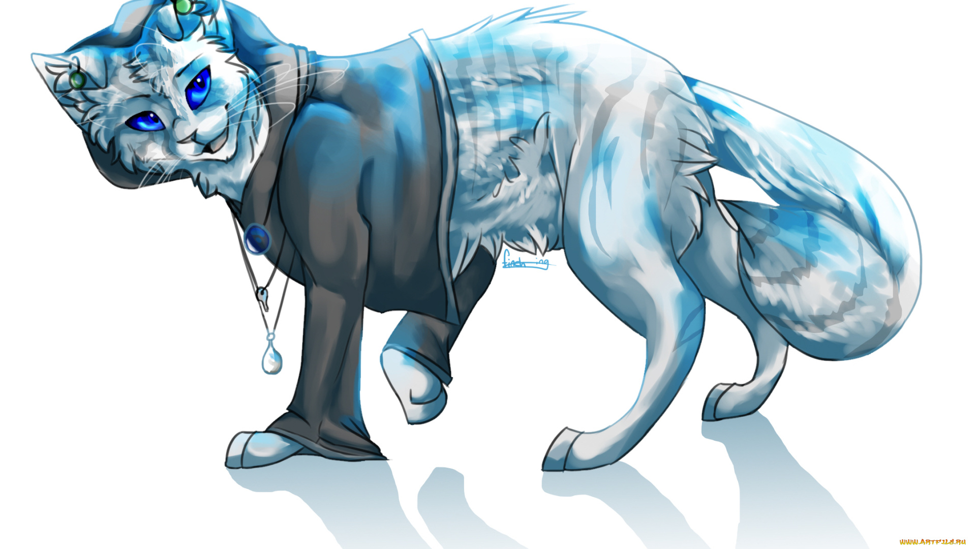 рисованные, животные, , коты, животное, белый, фон