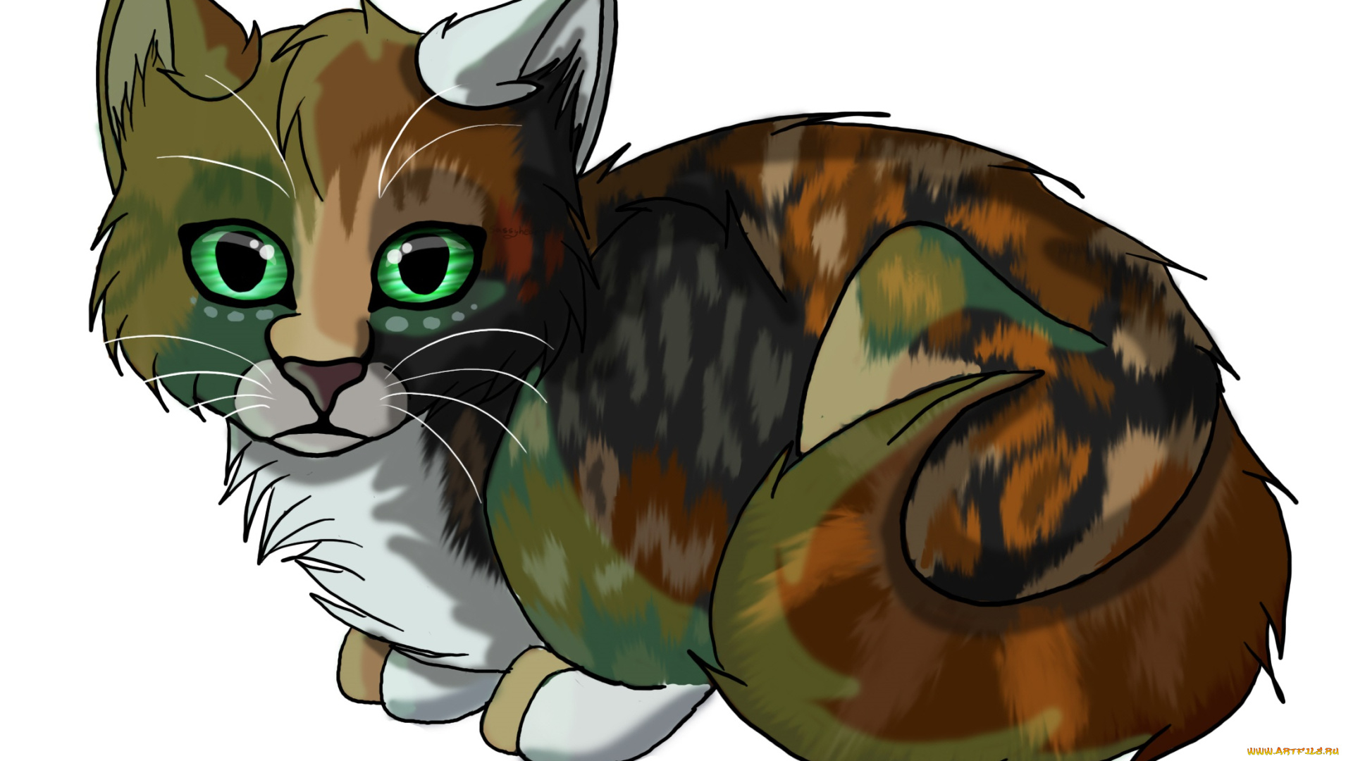 рисованные, животные, , коты, животное, белый, фон