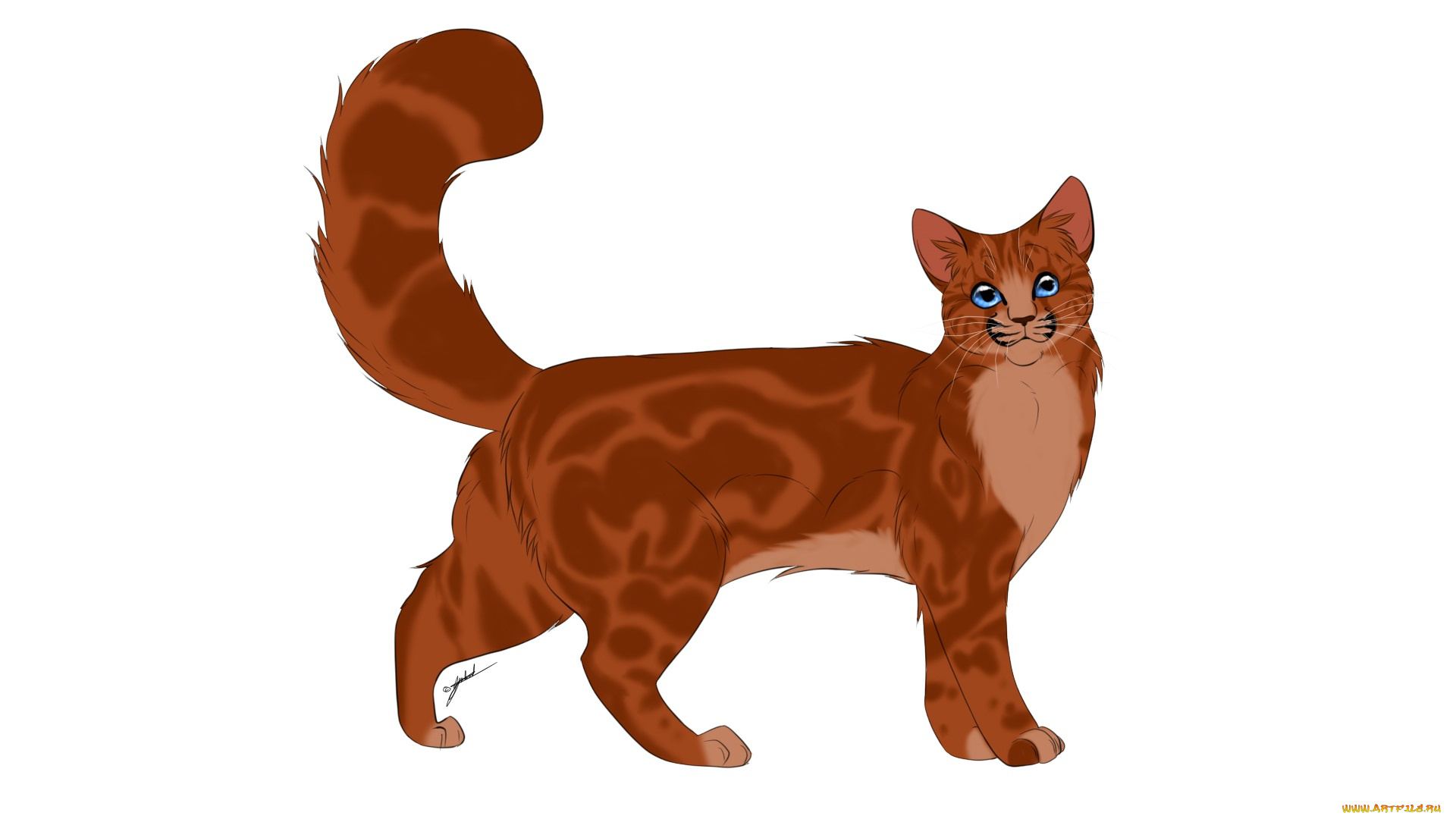 рисованные, животные, , коты, животное, белый, фон, кошка, рыжая