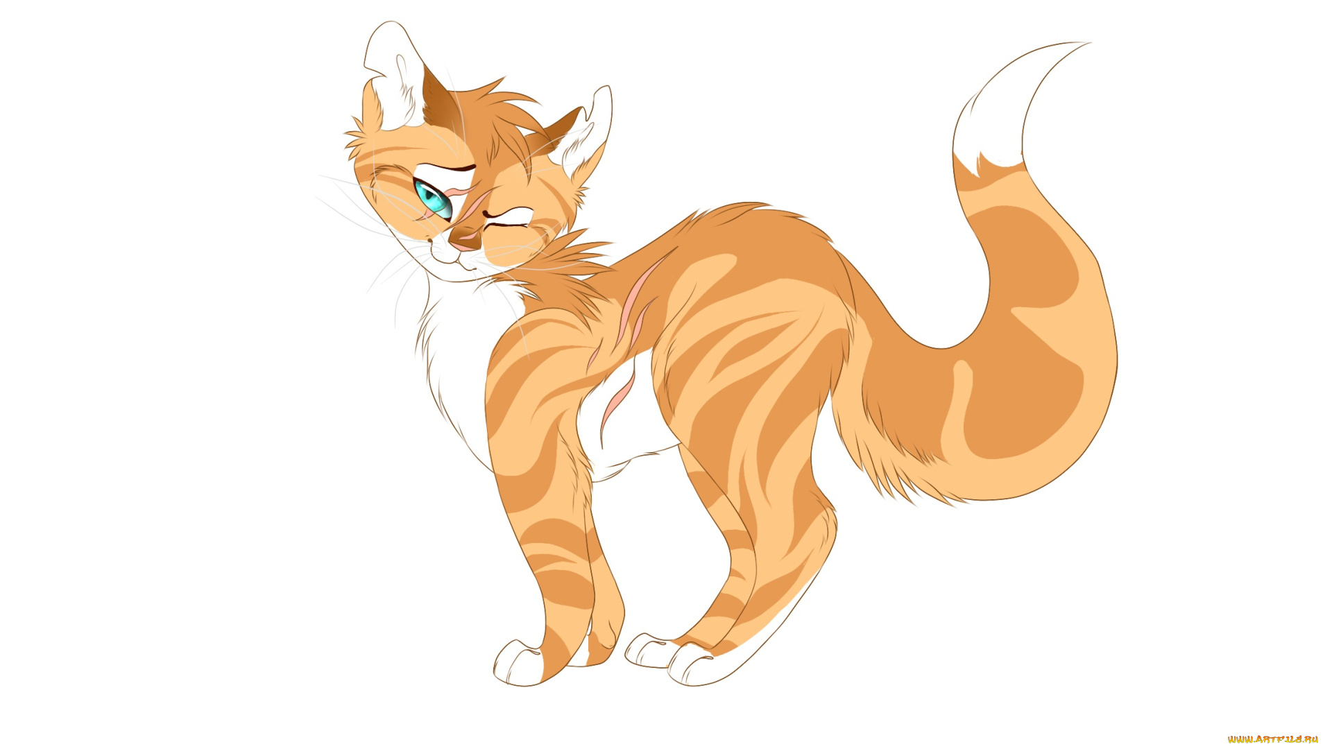 рисованные, животные, , коты, животное, белый, фон, киса