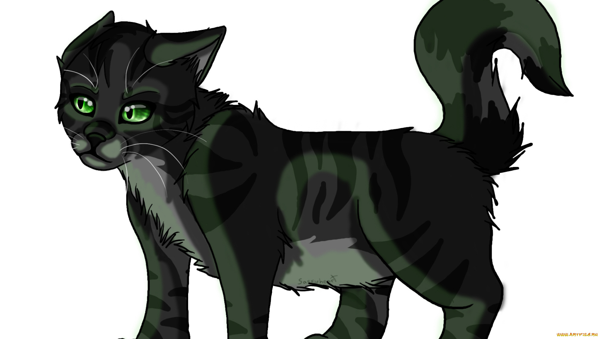 рисованные, животные, , коты, животное, белый, фон, волк