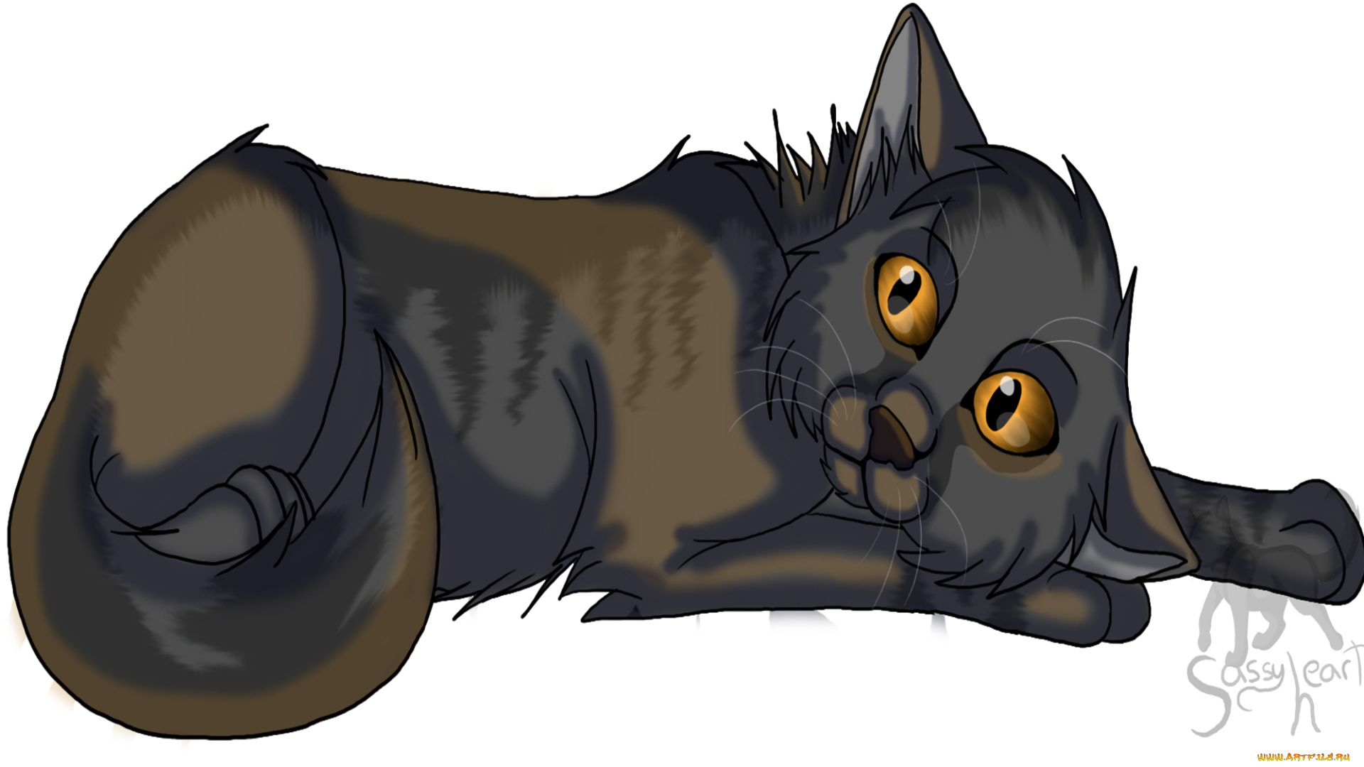 рисованные, животные, , коты, животное, белый, фон