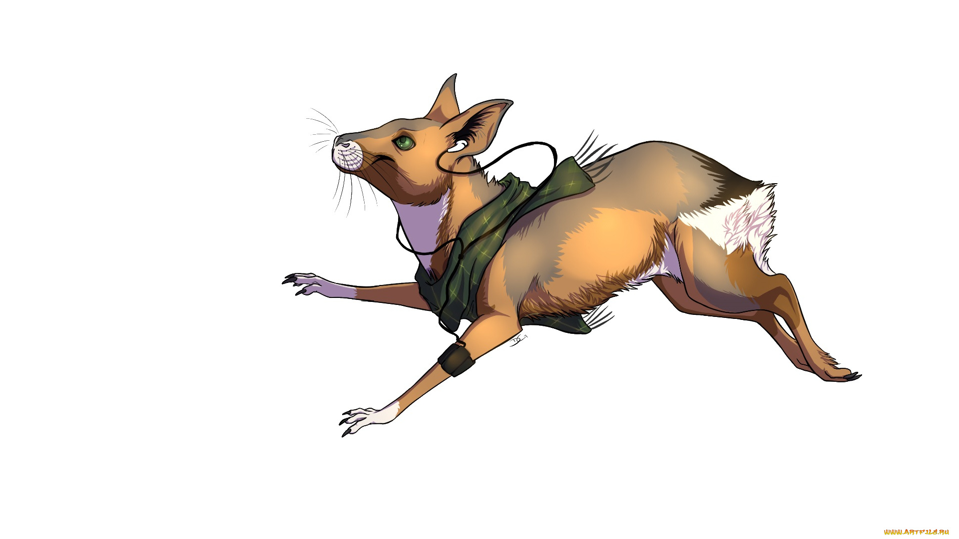 рисованные, животные, , сказочные, , мифические, животное, белый, фон, наушники