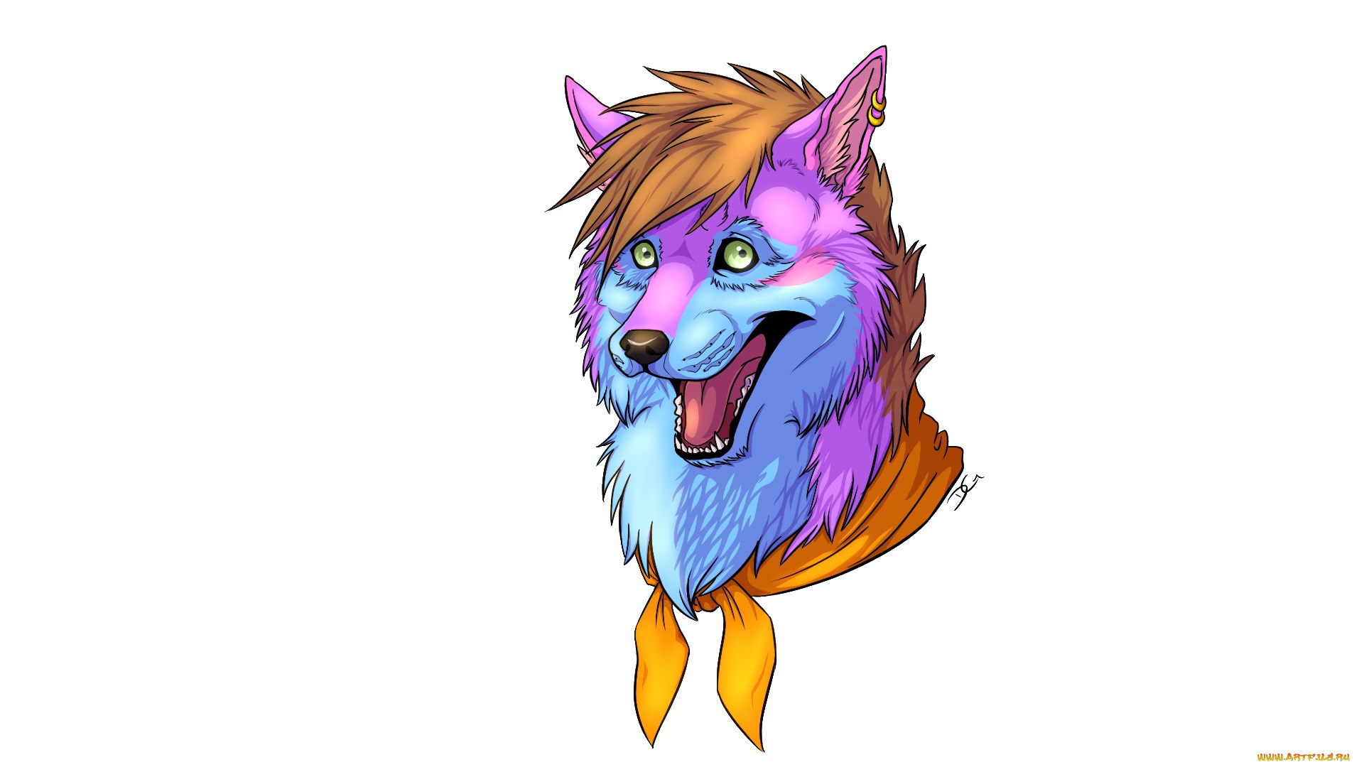 рисованные, животные, , собаки, животное, белый, фон