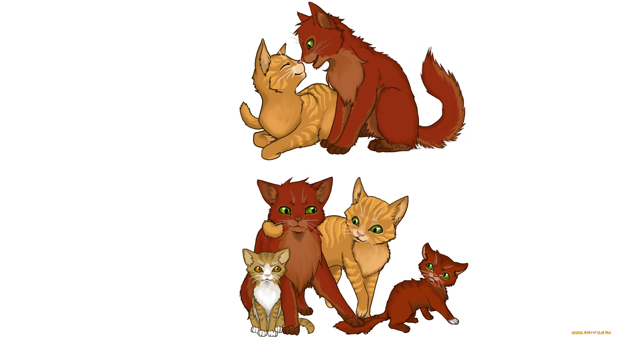 рисованные, животные, , коты, животное, белый, фон