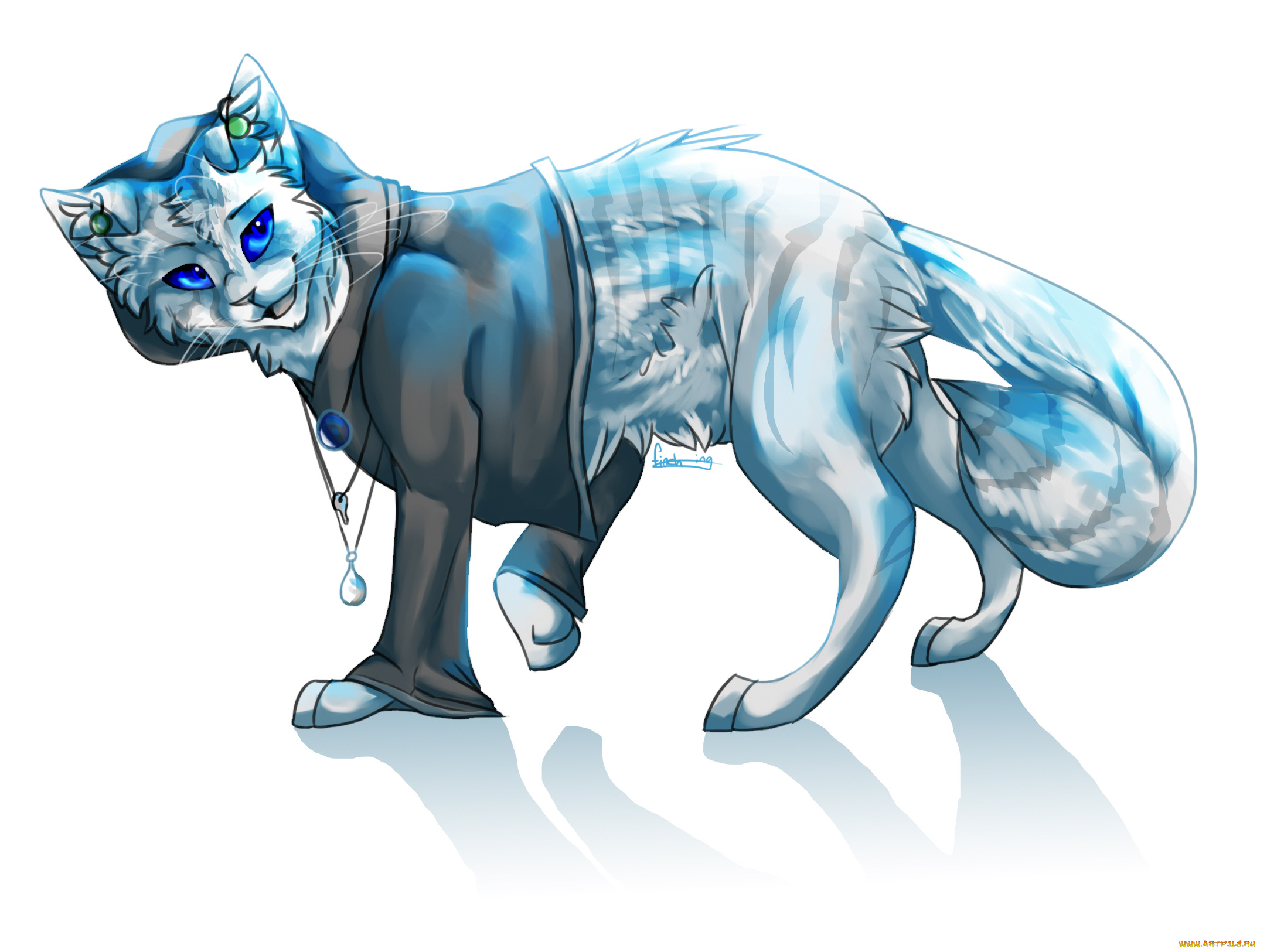 рисованные, животные, , коты, животное, белый, фон