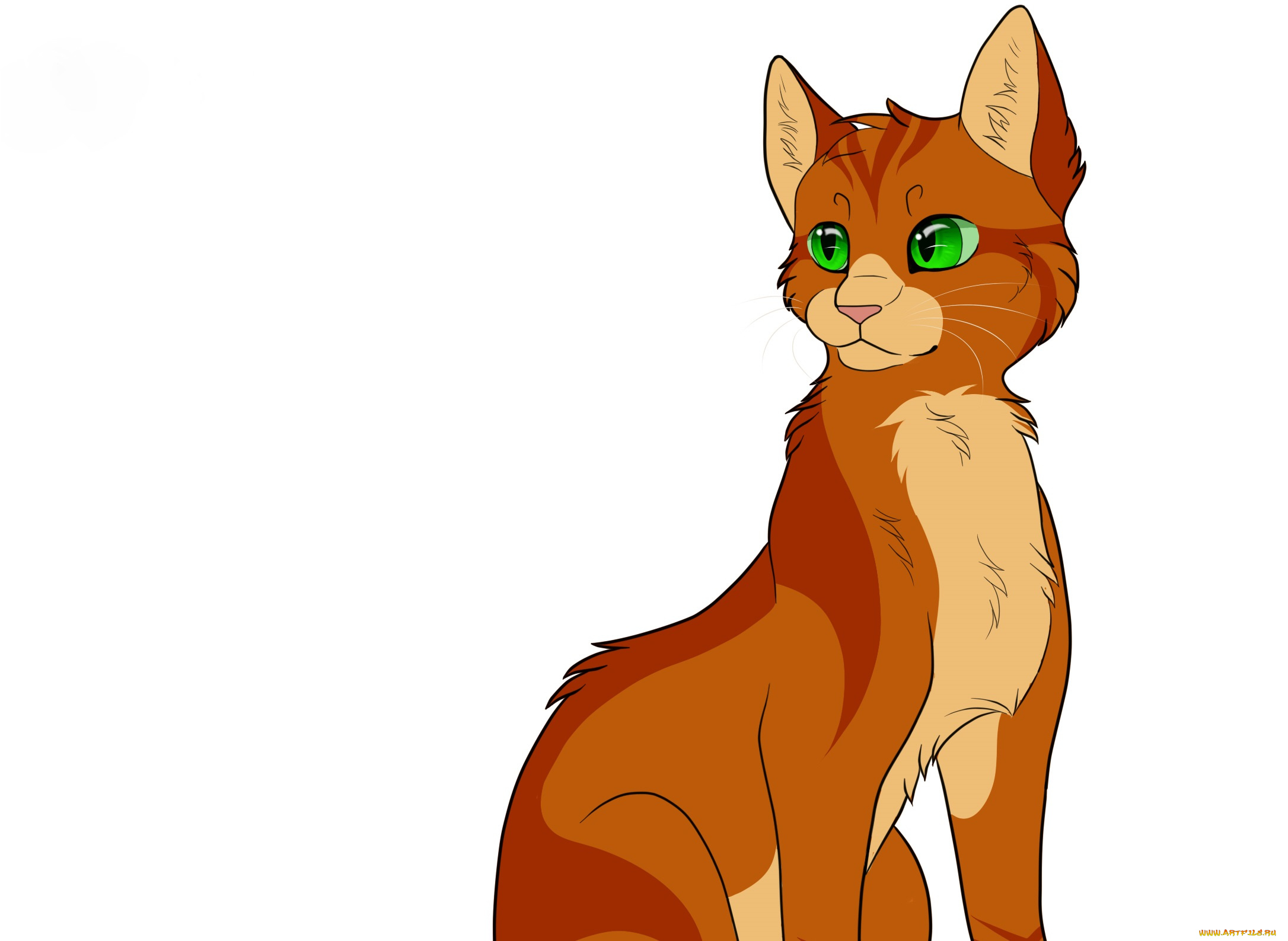 рисованные, животные, , коты, животное, белый, фон