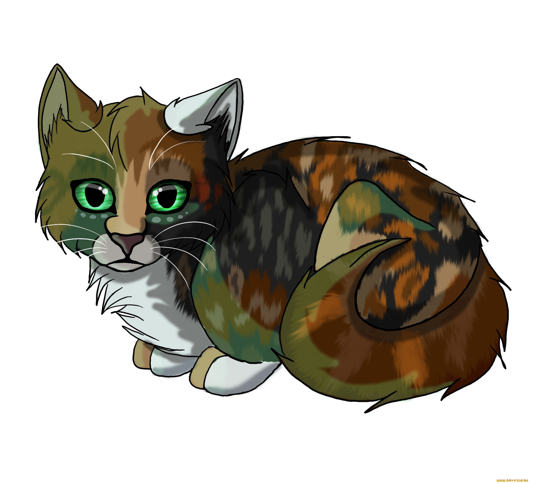 рисованные, животные, , коты, животное, белый, фон