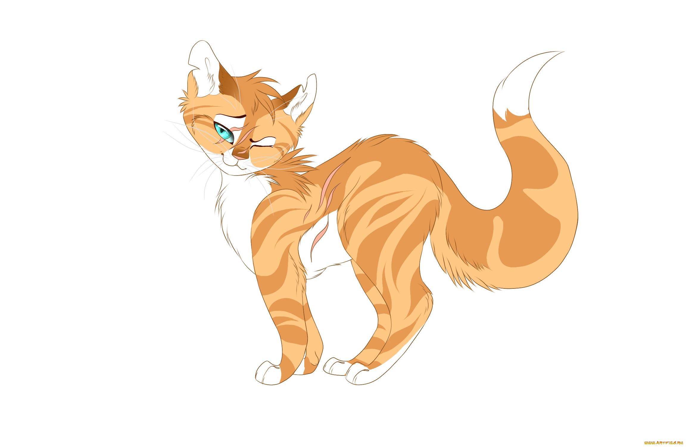 рисованные, животные, , коты, животное, белый, фон, киса