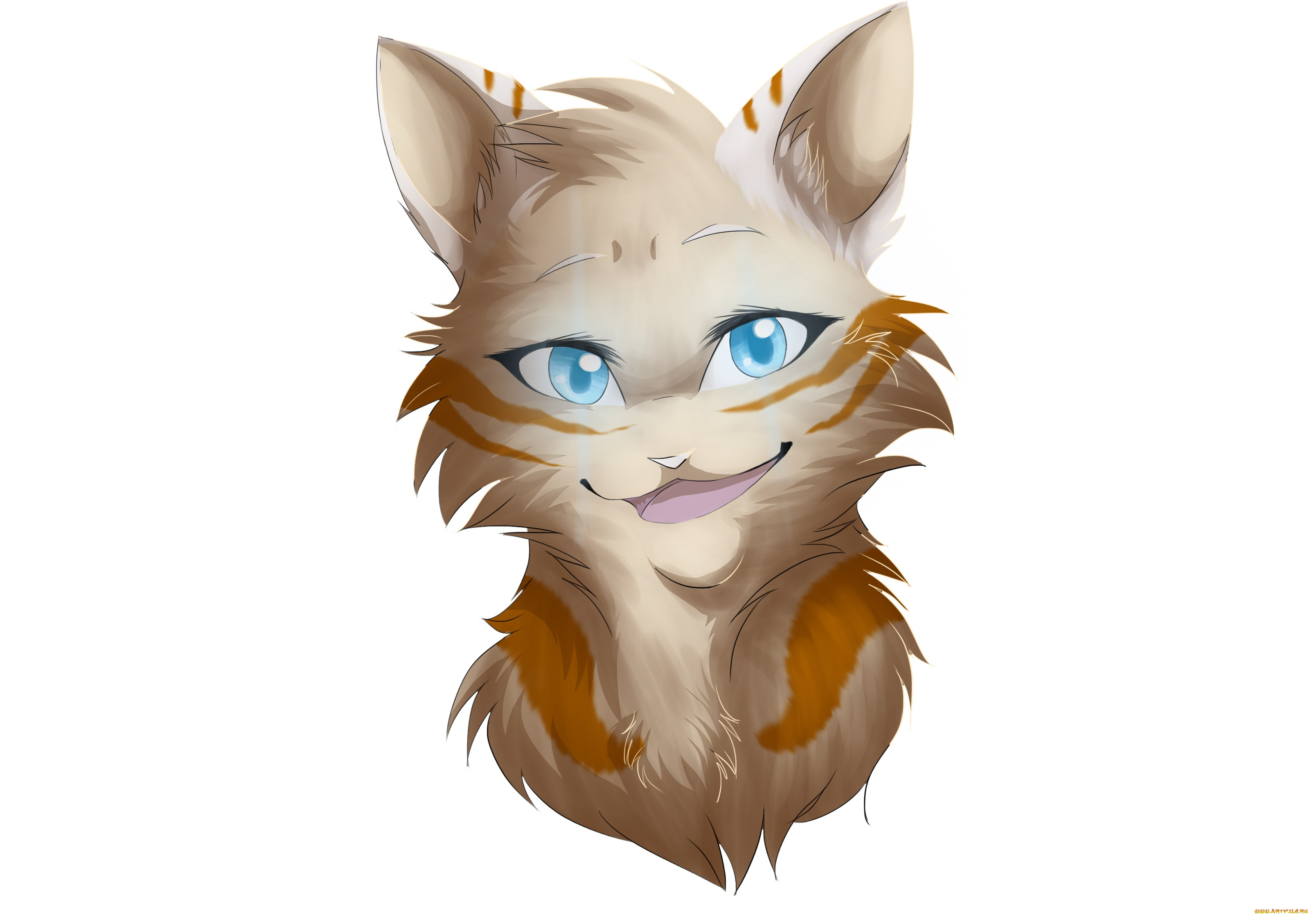 рисованные, животные, , коты, животное, белый, фон, кот