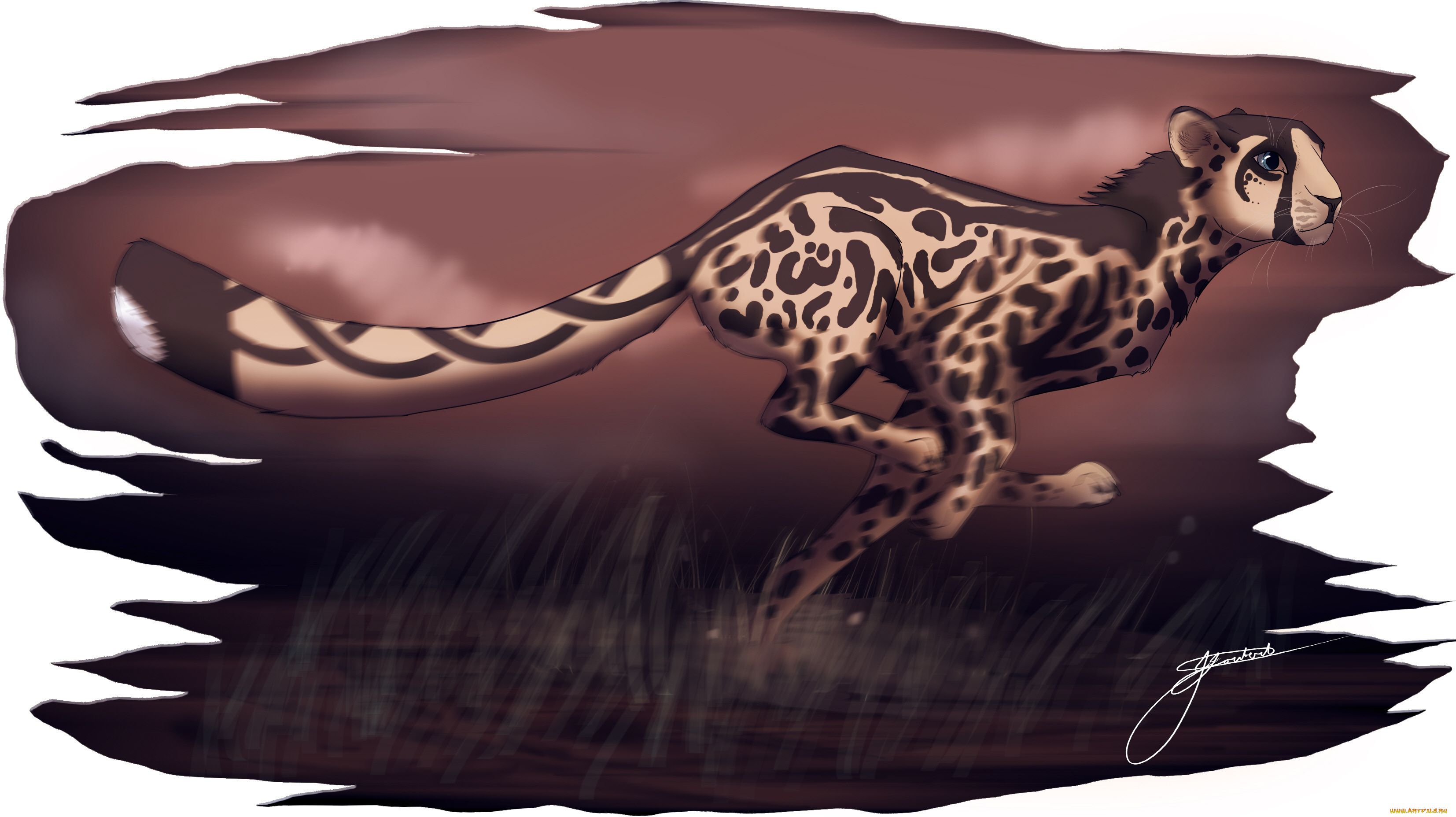 рисованные, животные, животное, белый, фон, бег