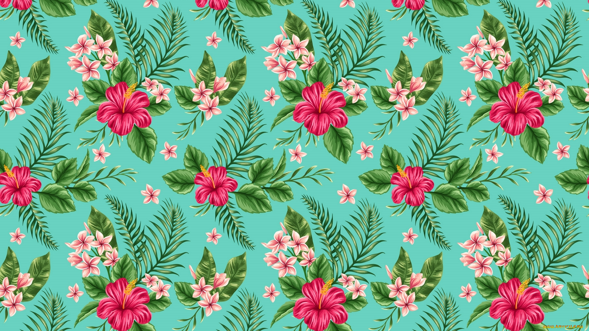 векторная, графика, цветы, , flowers, гибискус, плюмерия, тропики, цветы