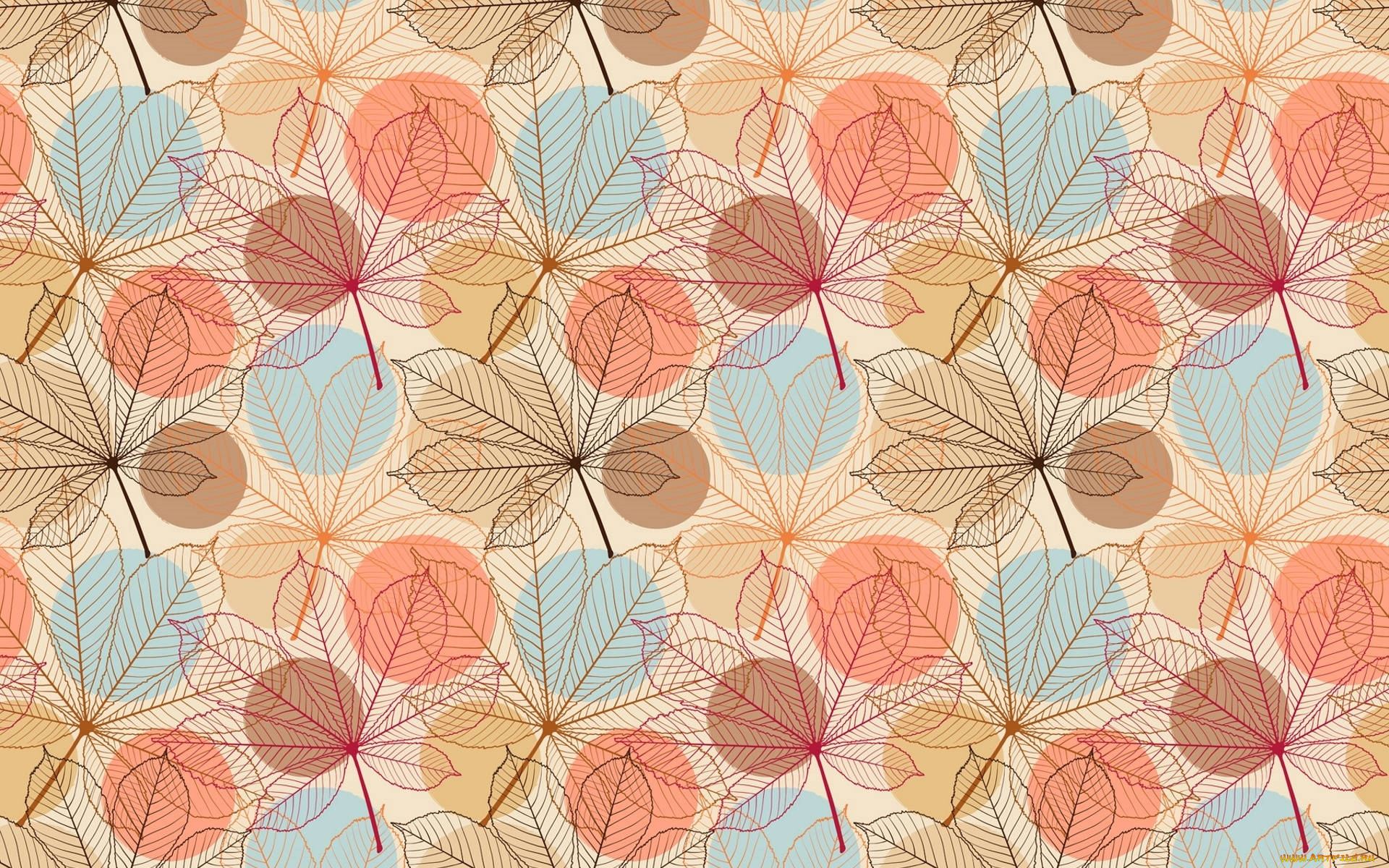 векторная, графика, природа, , nature, каштан, узор, прожилки, листья
