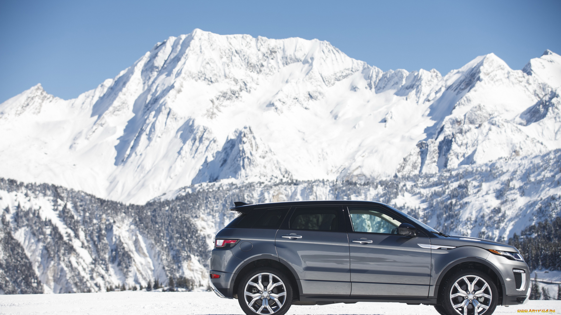 автомобили, range, rover, america, evoque, autobiography, range, rover, 2016г, north