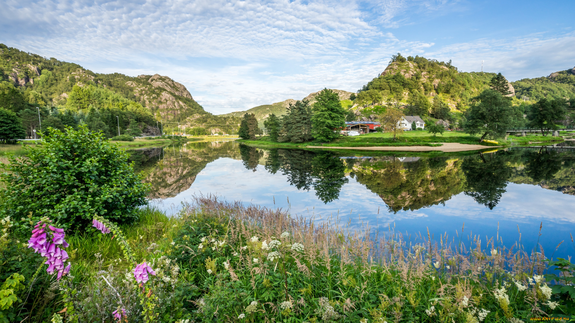 города, -, пейзажи, лес, река
