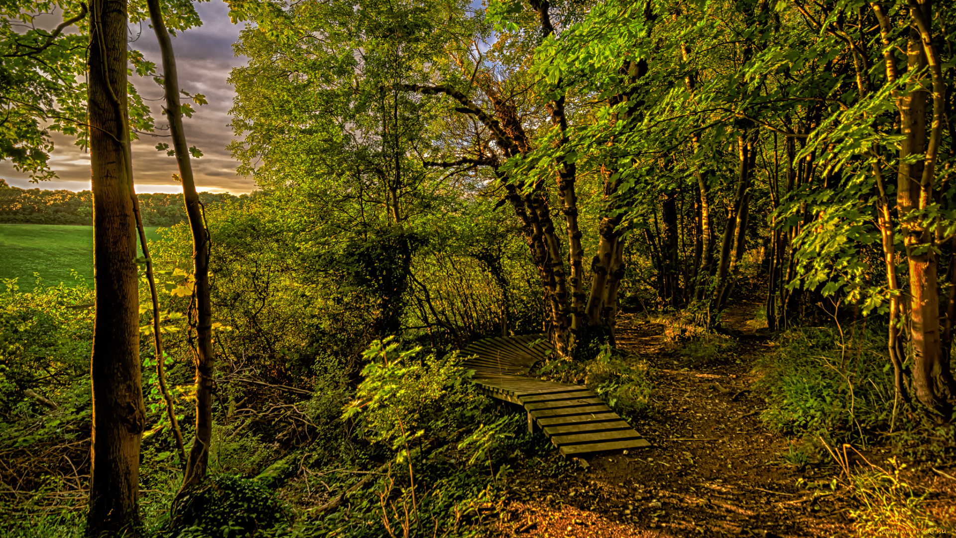 природа, дороги, тракт