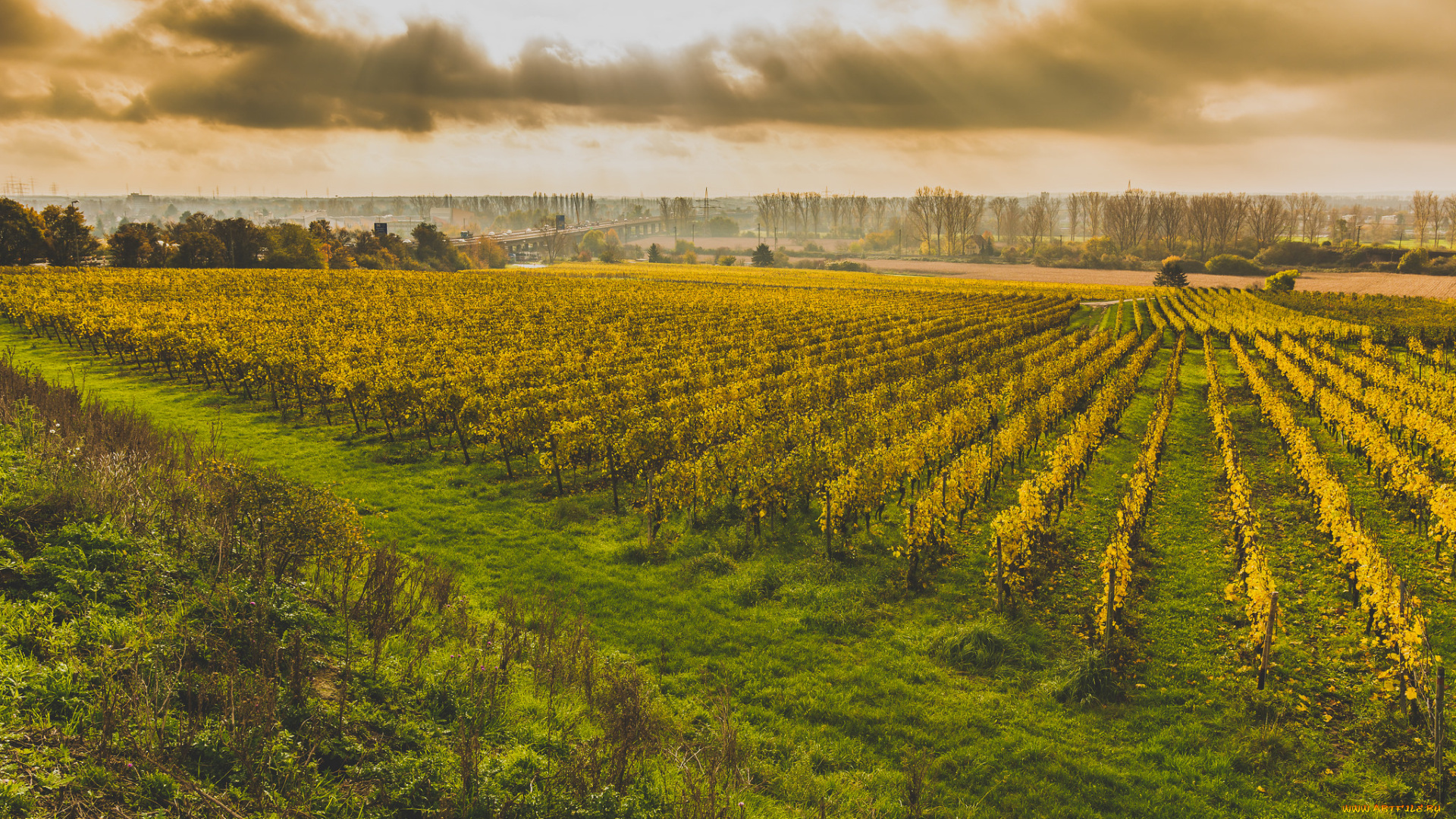 природа, дороги, тракт