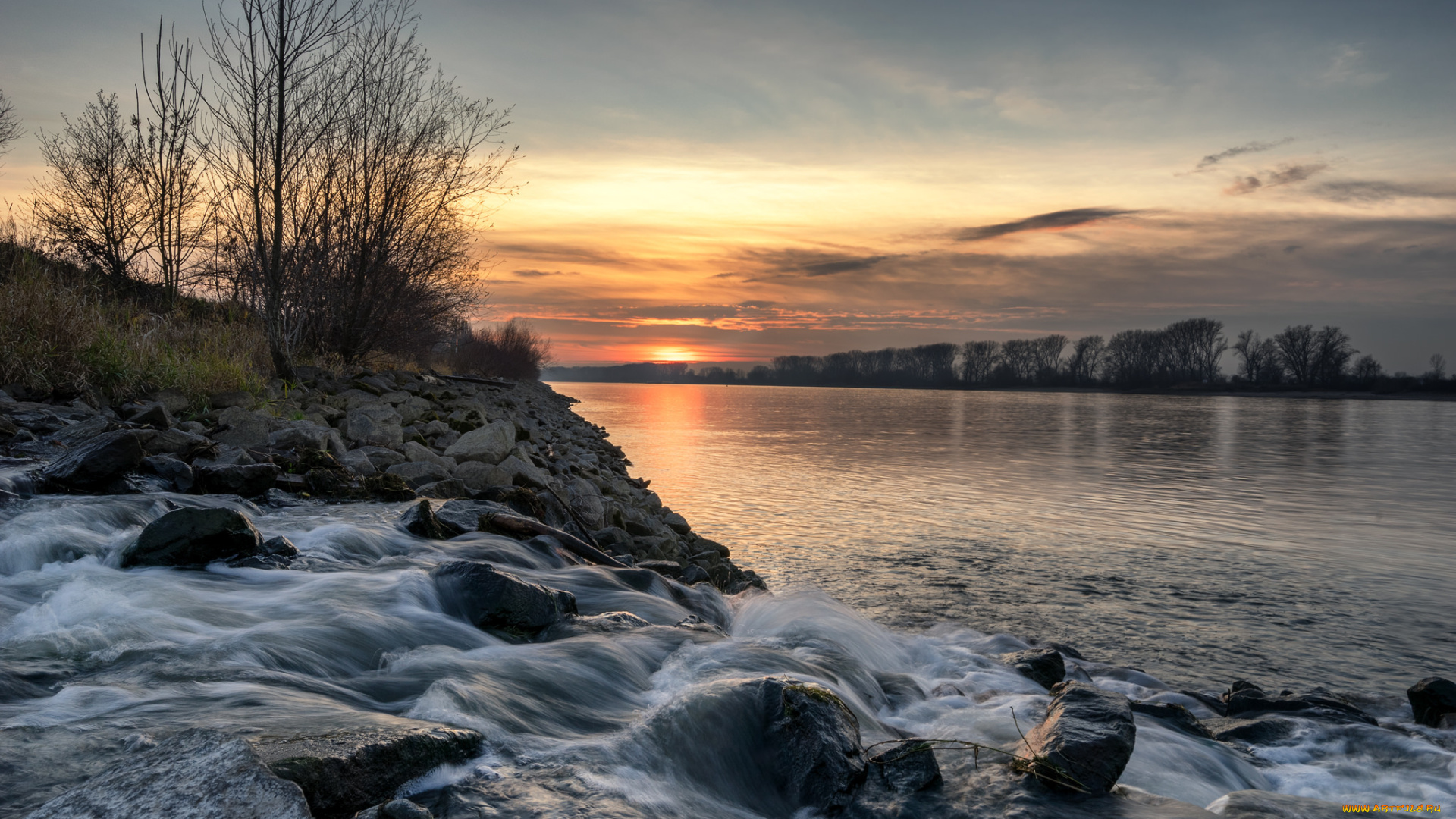 природа, реки, озера, лес, река