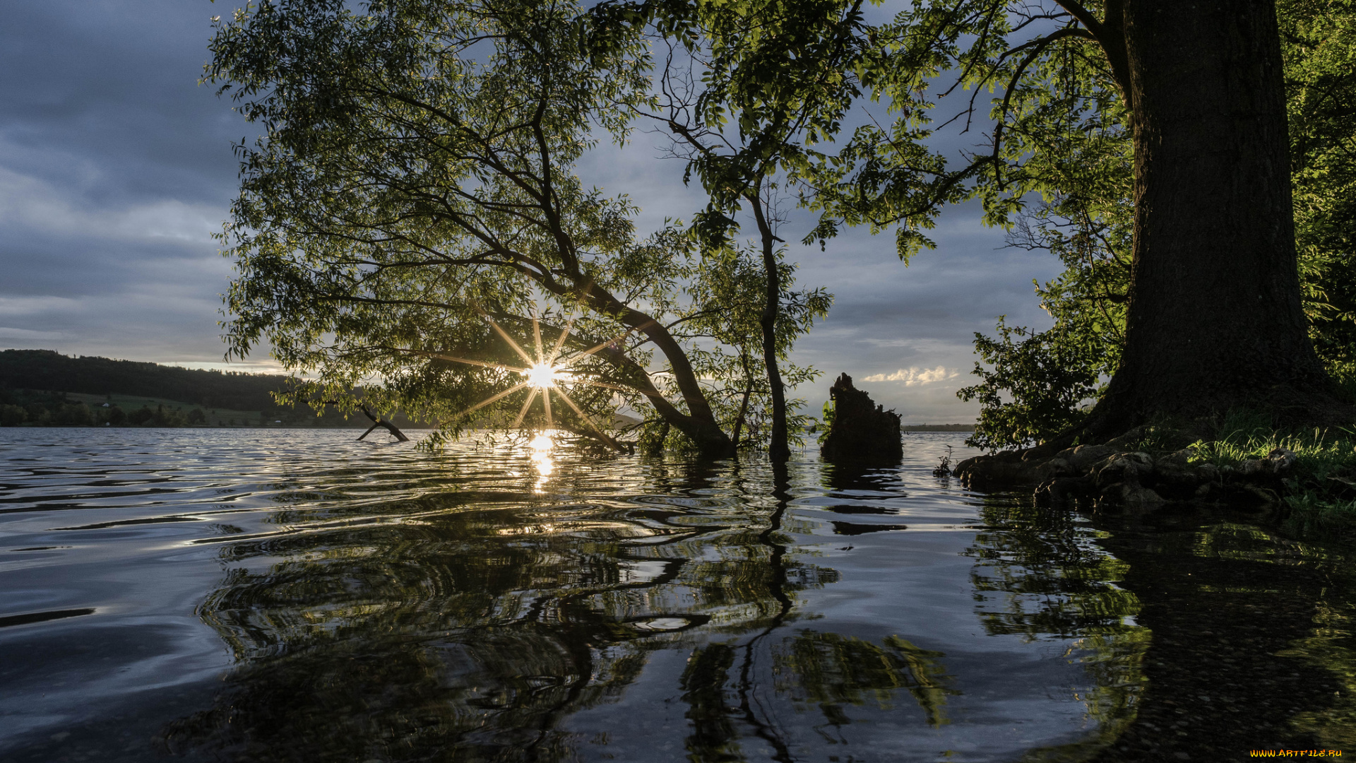 природа, реки, озера, лес, река