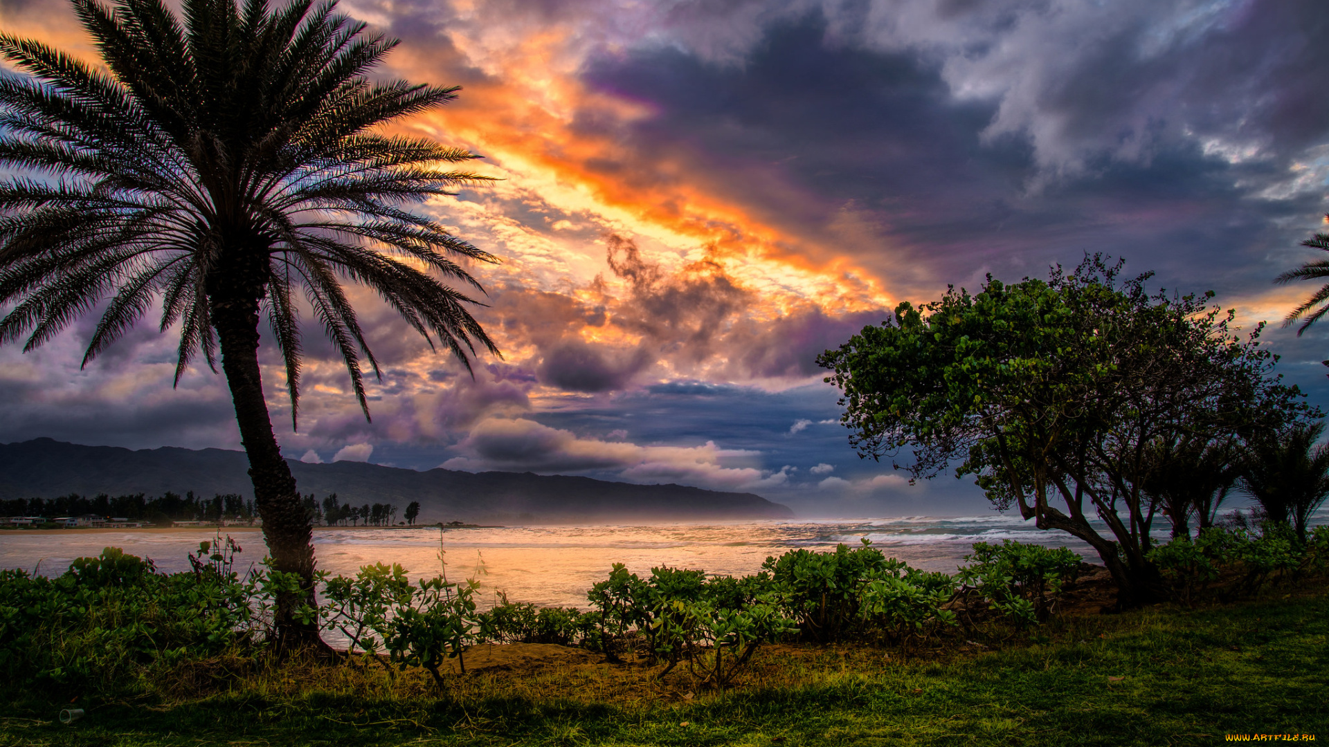 природа, тропики, океан, берег