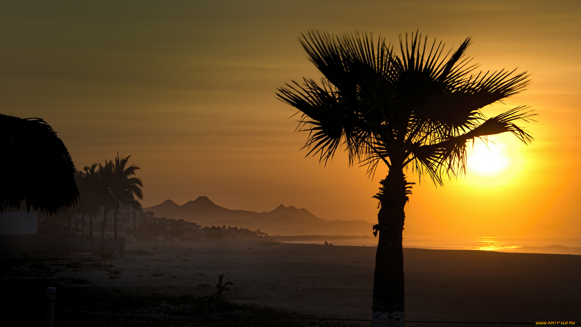 природа, тропики, океан, берег