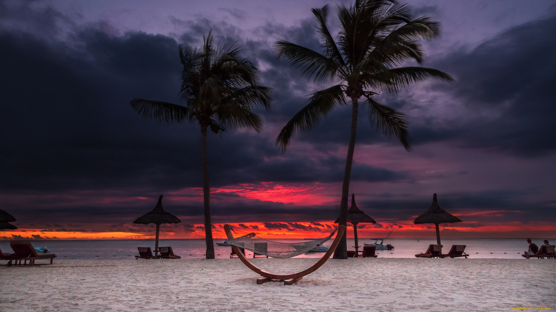 природа, тропики, океан, берег