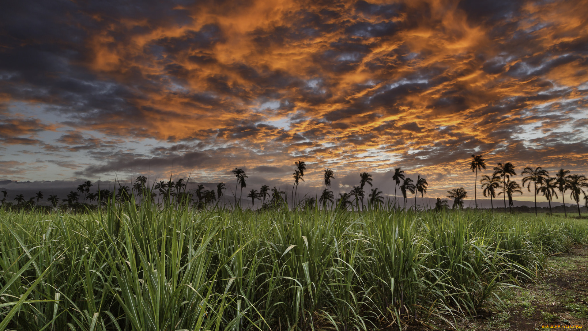 природа, восходы, закаты, океан, берег