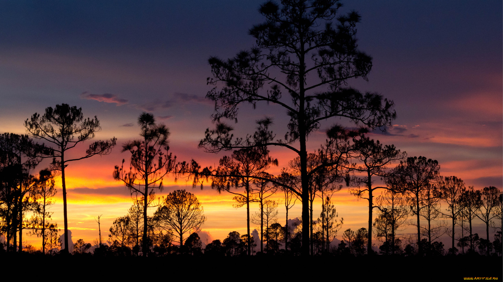 природа, восходы, закаты, океан, берег