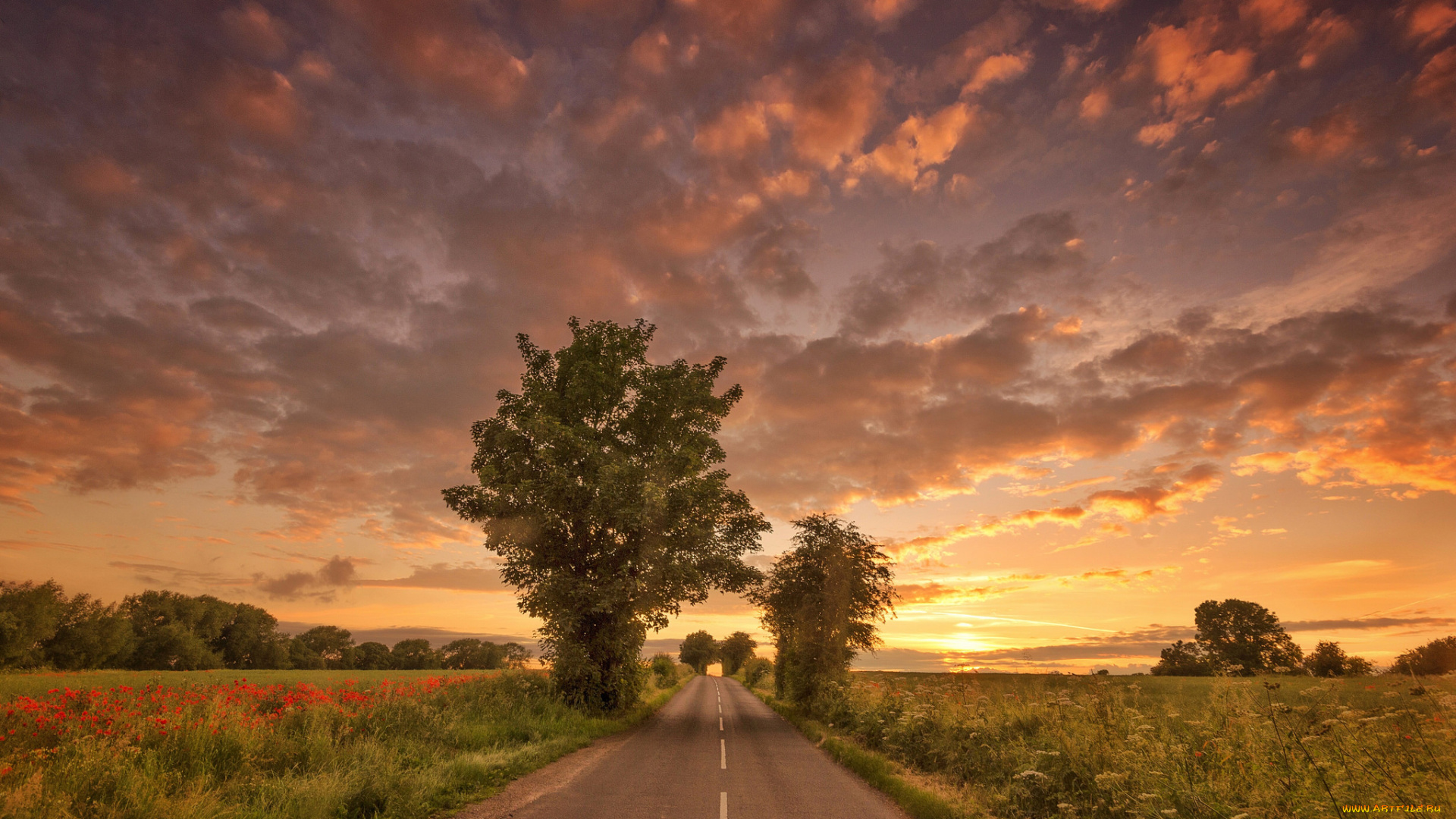 природа, восходы, закаты, рассвет