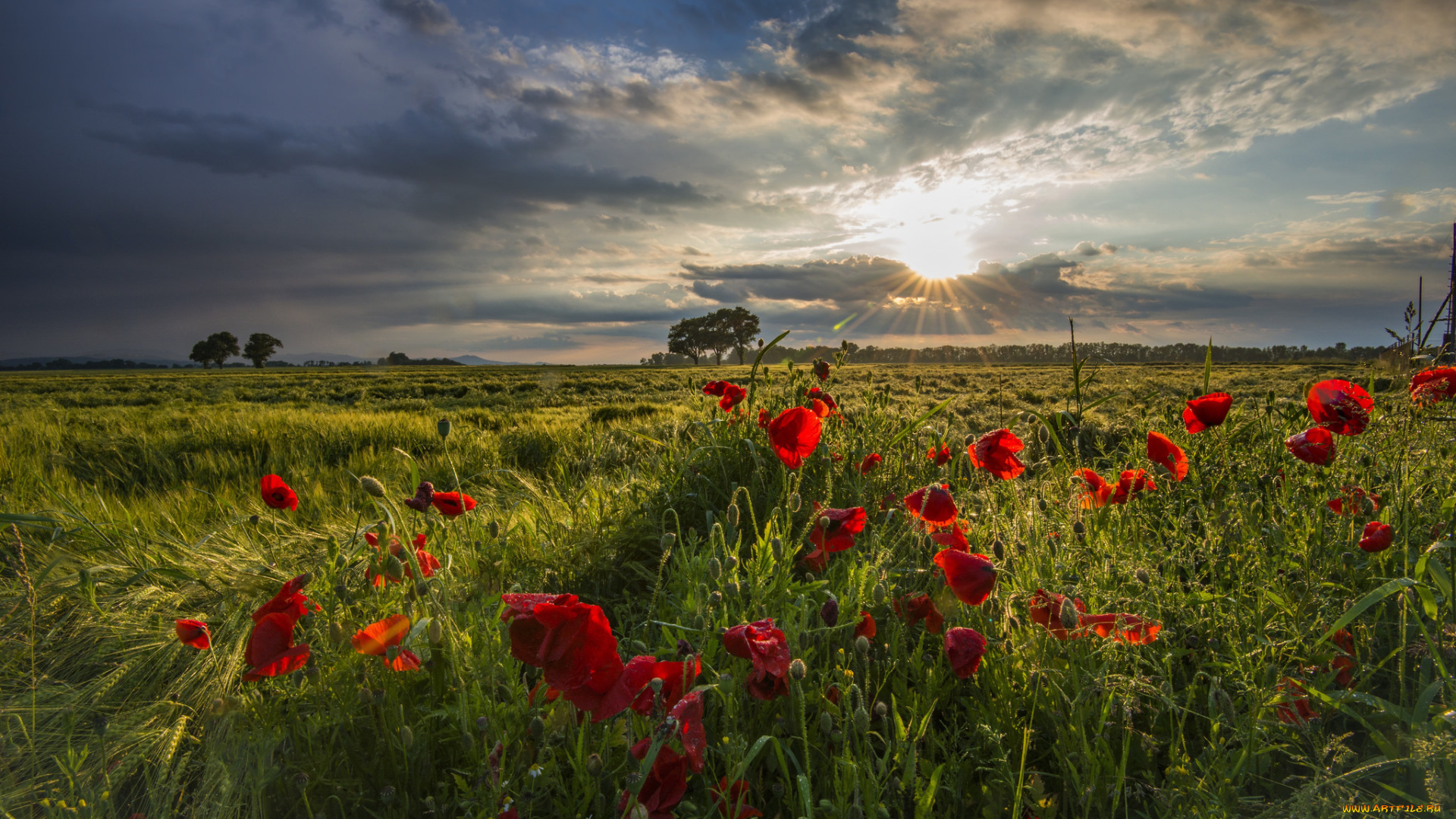 природа, восходы, закаты, рассвет