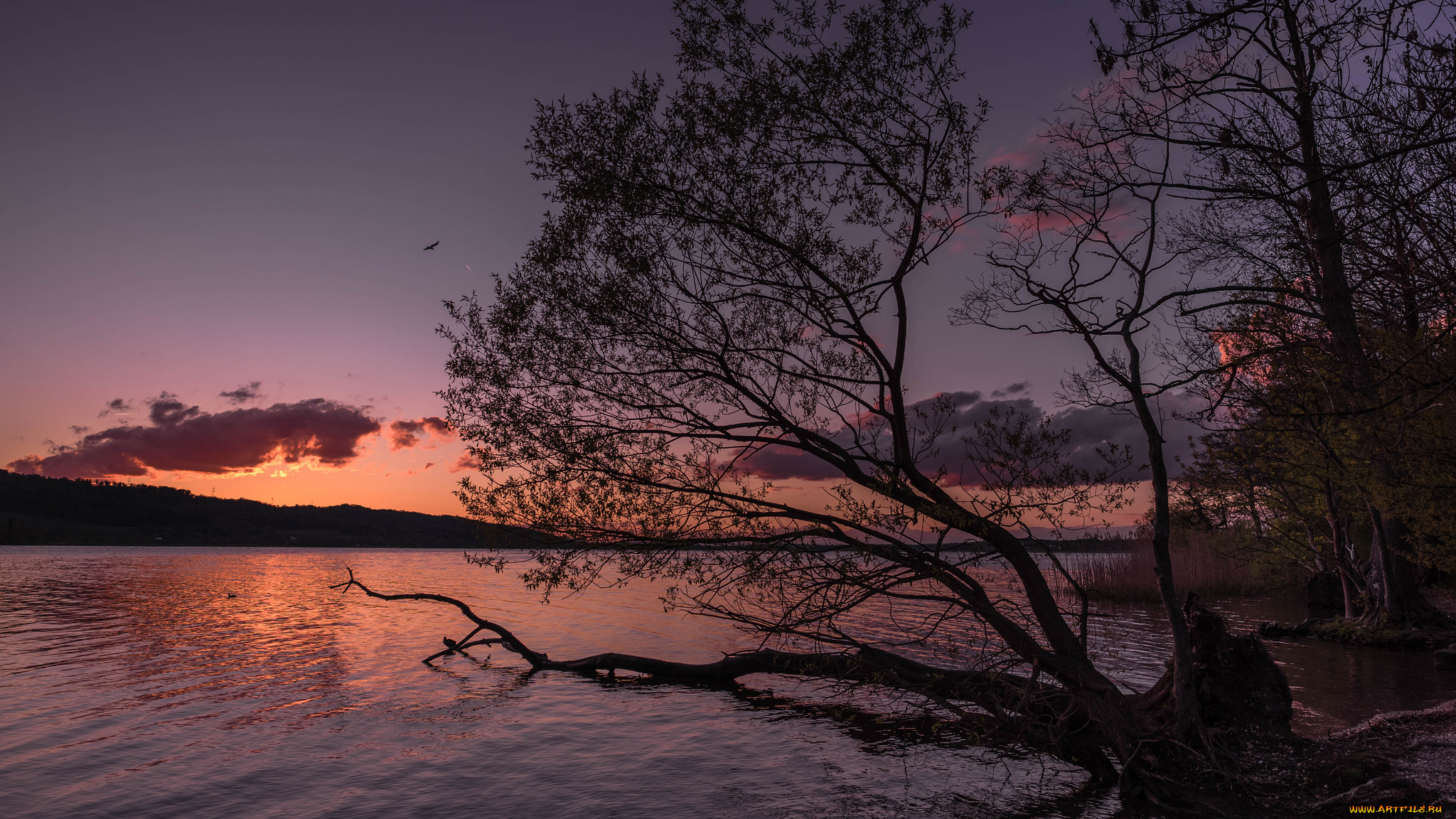 природа, восходы, закаты, рассвет