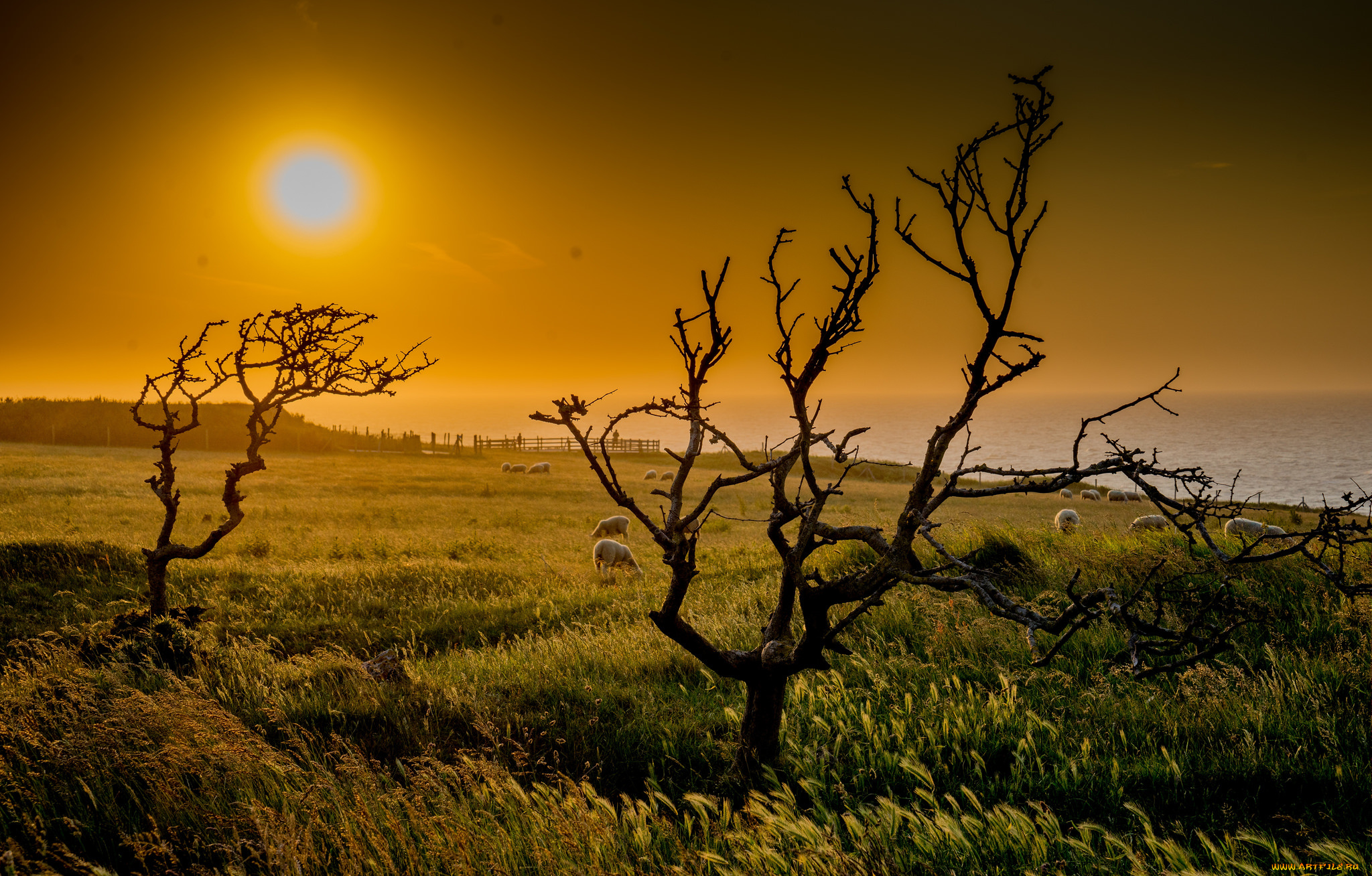 природа, восходы, закаты, рассвет