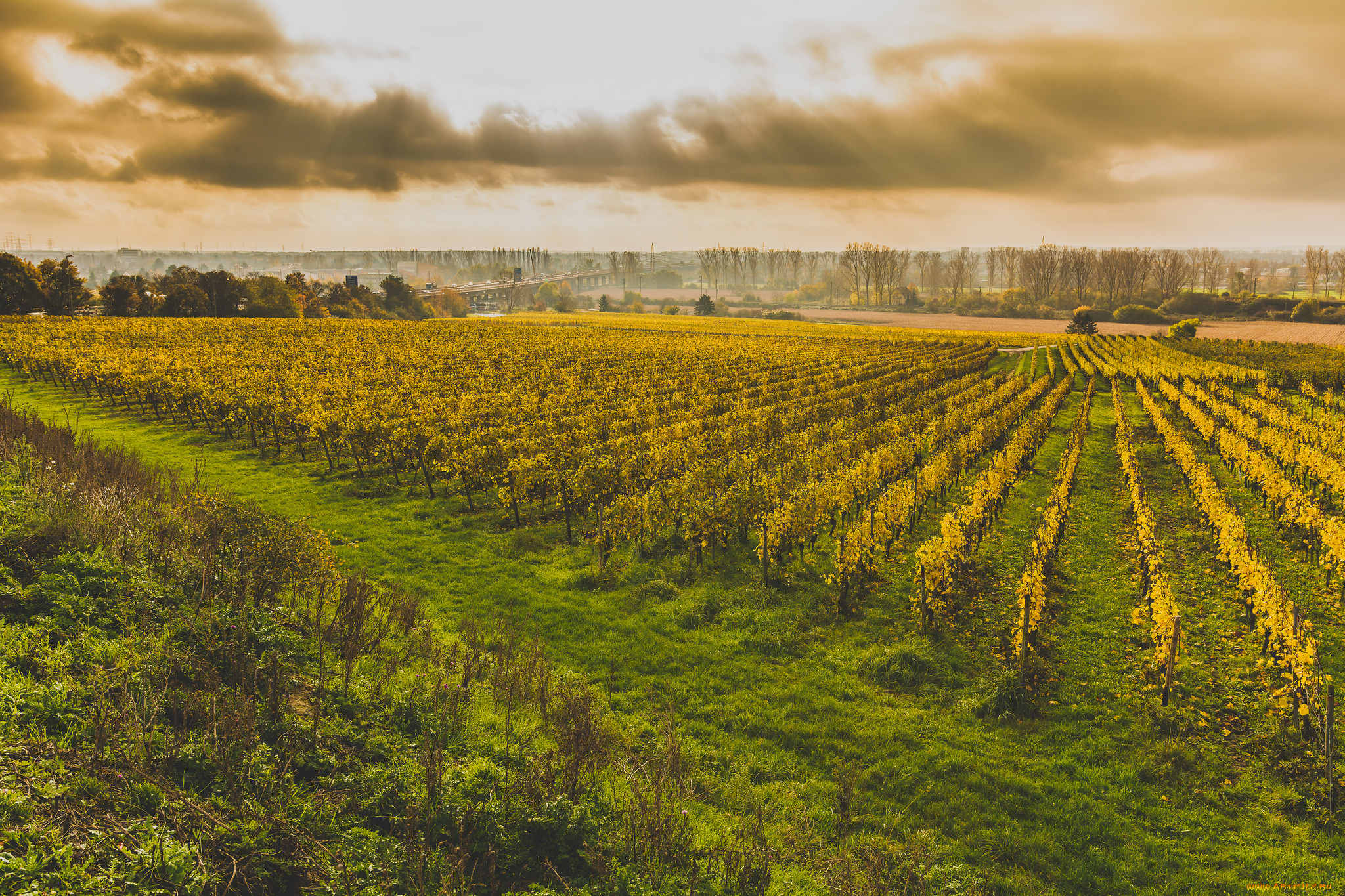 природа, дороги, тракт