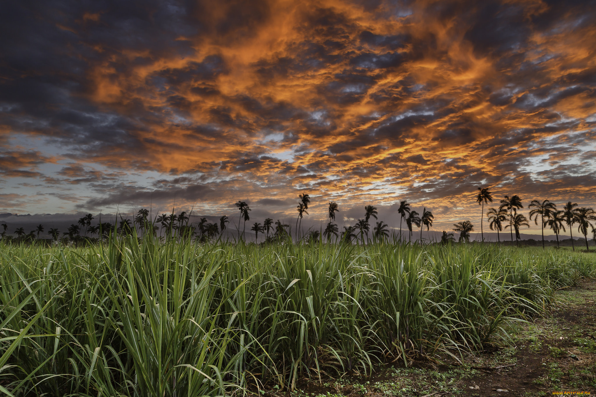 природа, восходы, закаты, океан, берег