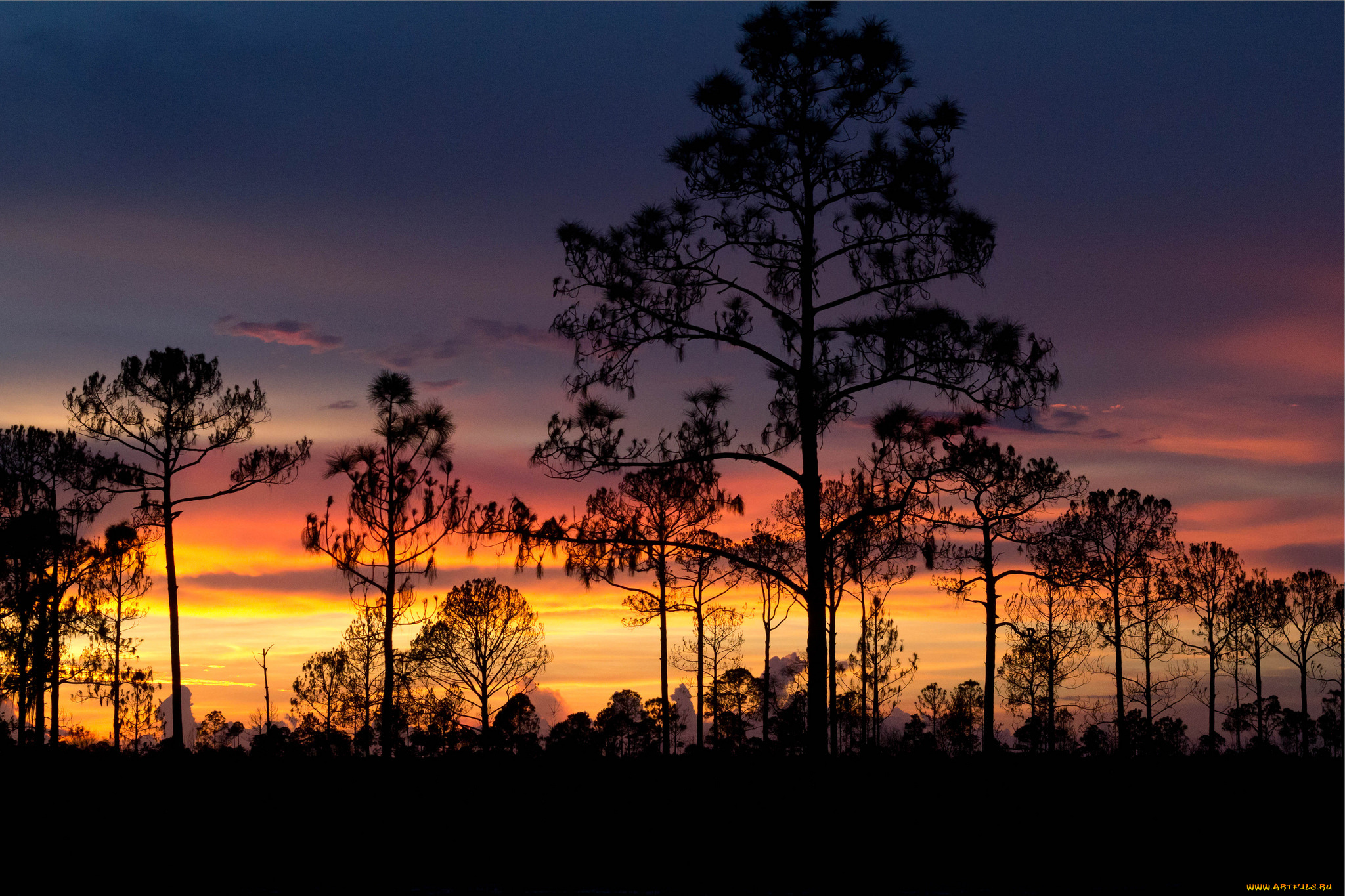 природа, восходы, закаты, океан, берег