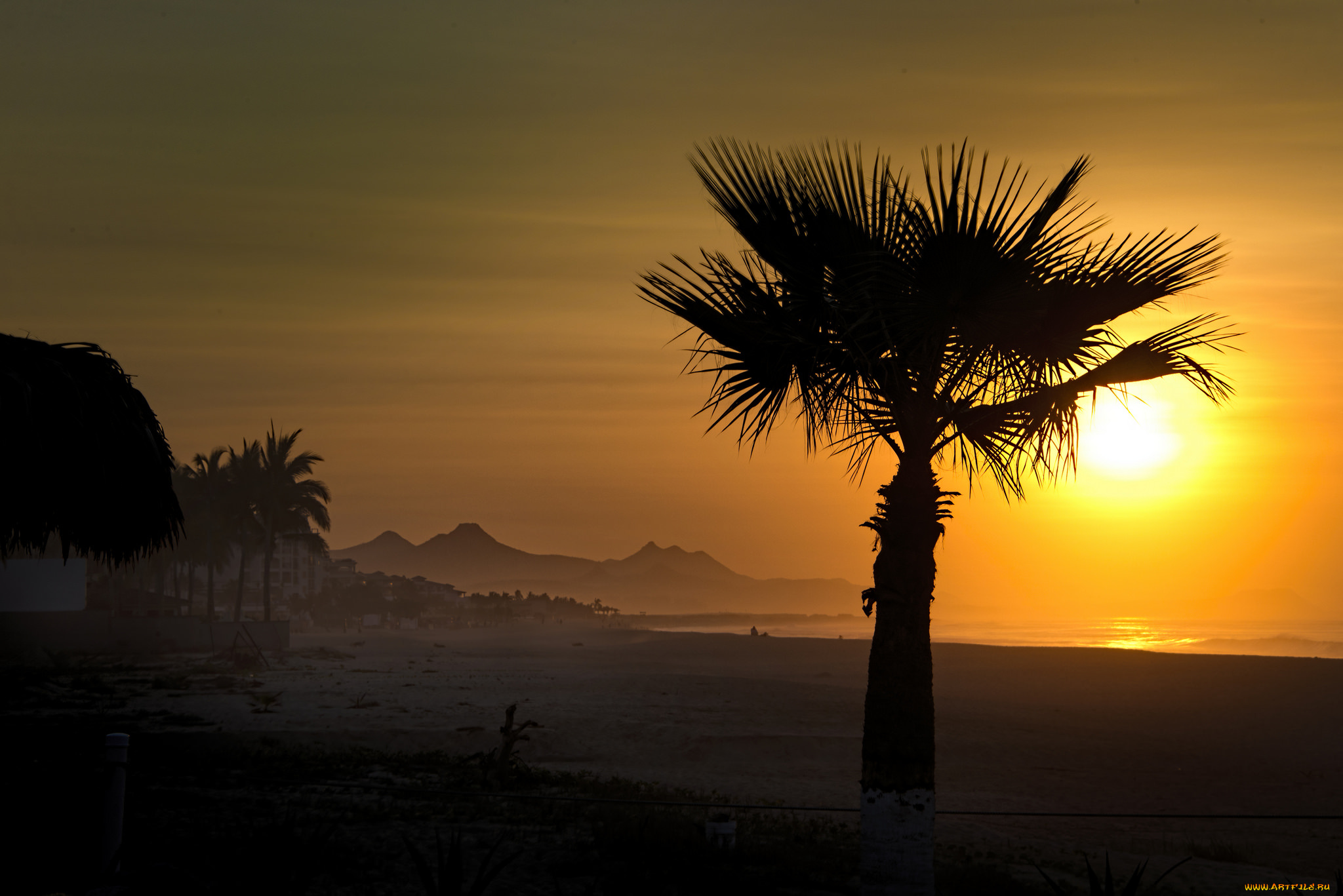 природа, тропики, океан, берег