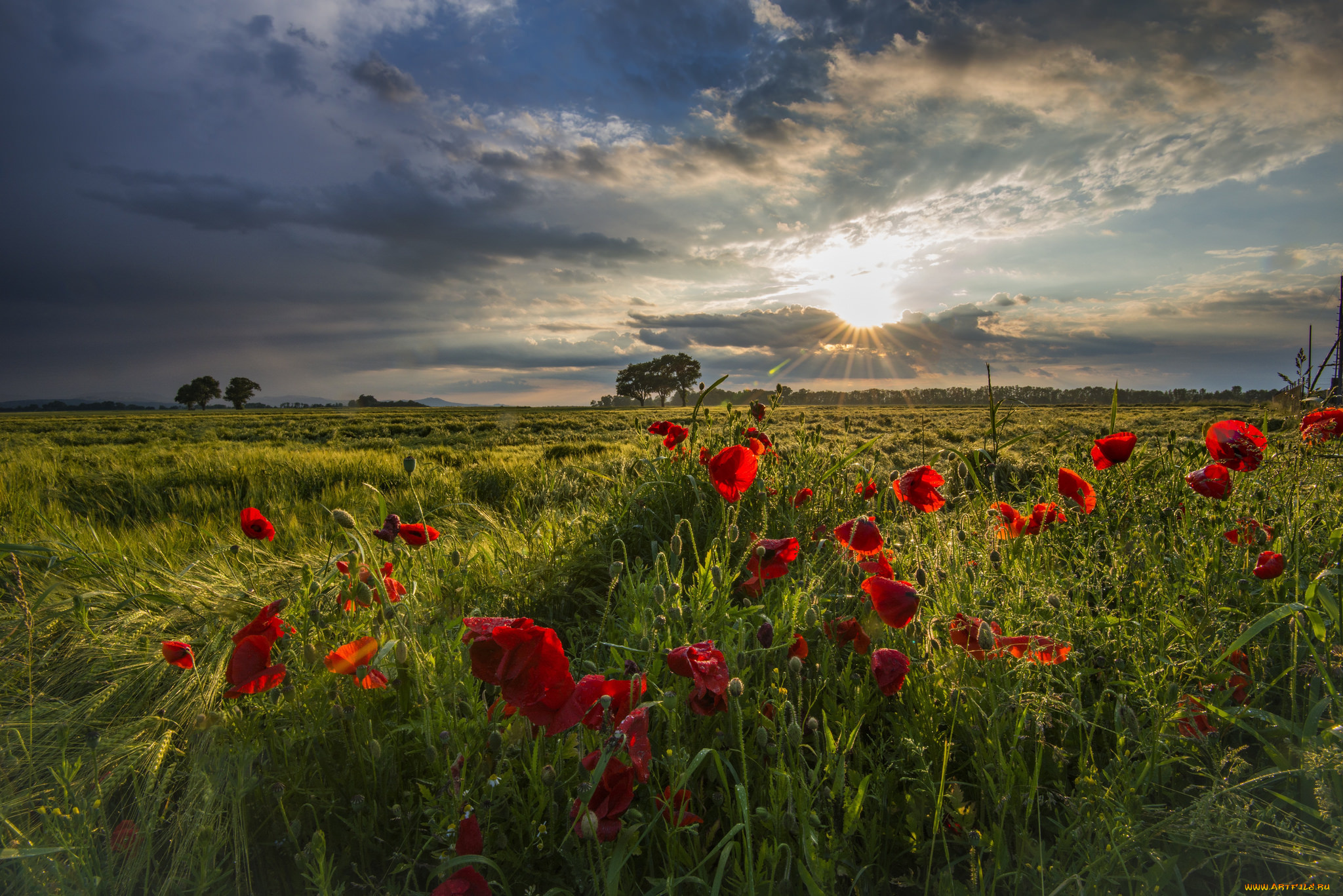 природа, восходы, закаты, рассвет