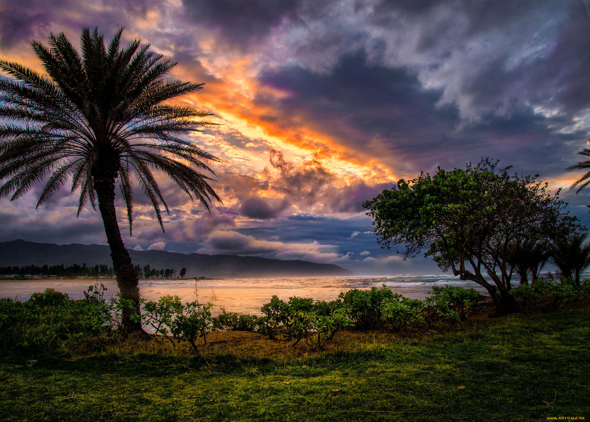 природа, тропики, океан, берег