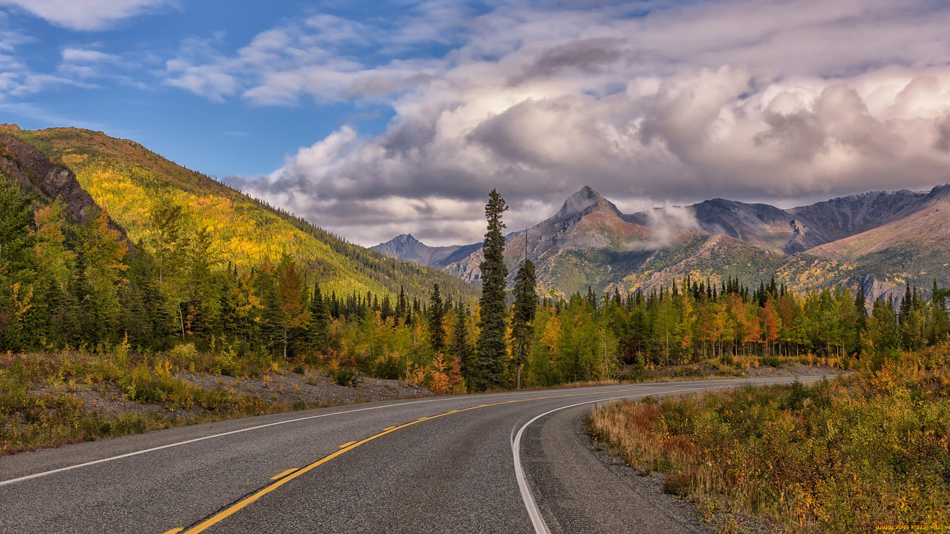 природа, дороги, простор