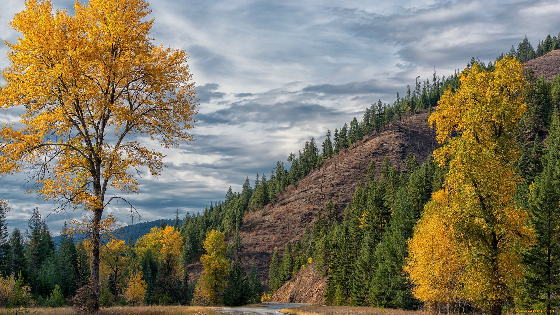 природа, горы, простор