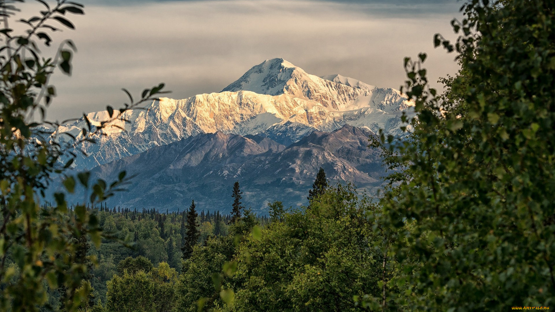 природа, горы, простор