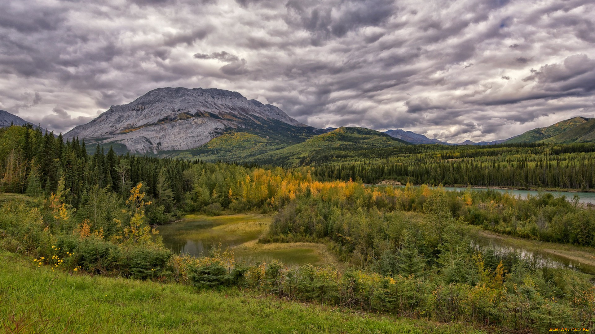 природа, горы, простор