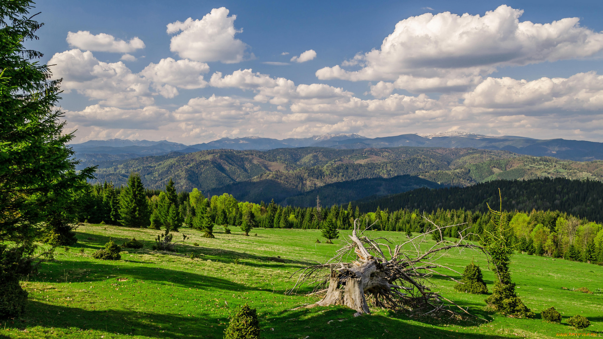 природа, пейзажи, простор