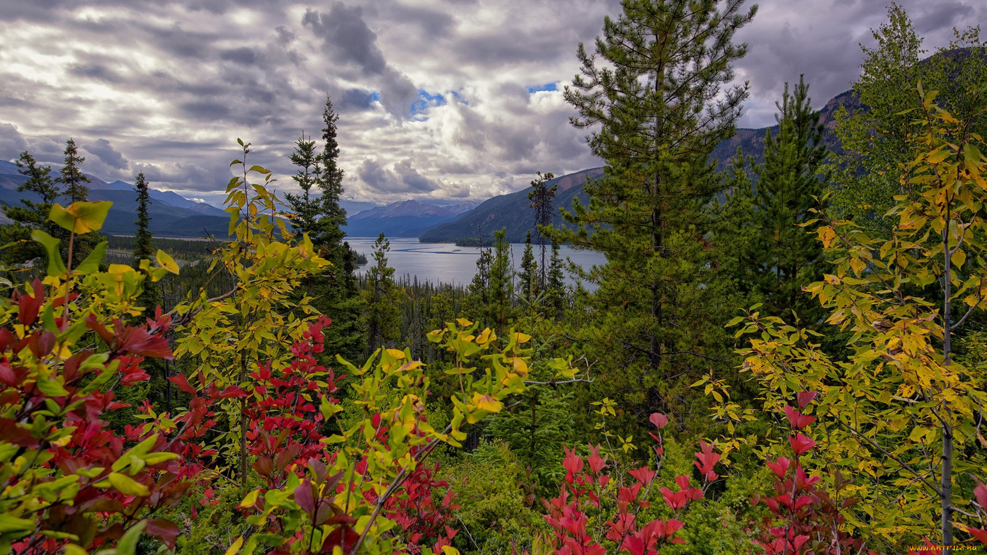 природа, пейзажи, простор